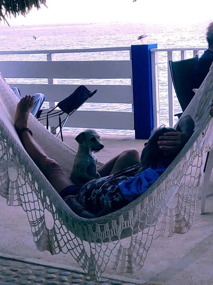 Treasure by the Sea Resort - Happy Hill