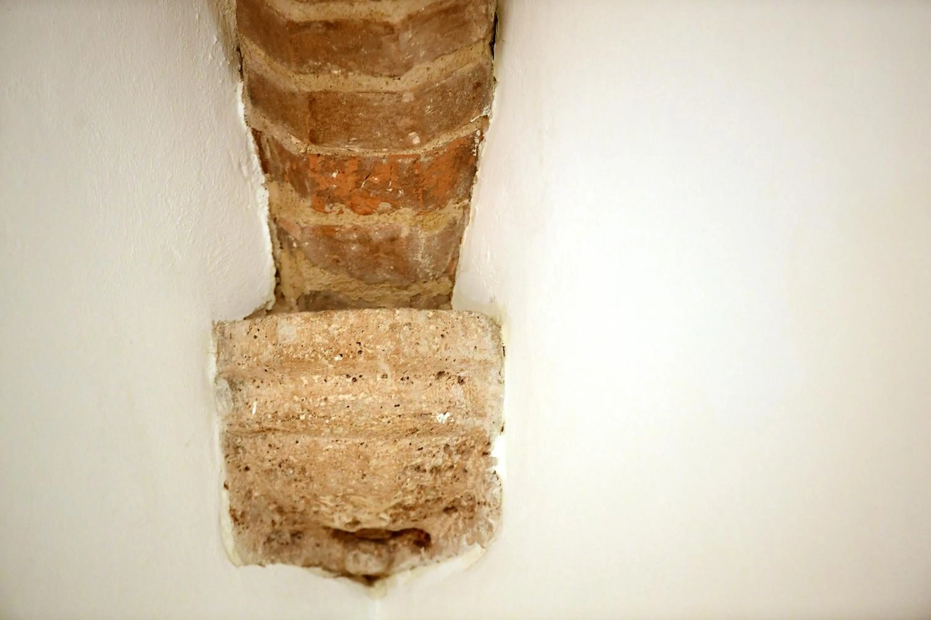 Landmark view in Little Italy Hostel Ex Chiesa S Donato