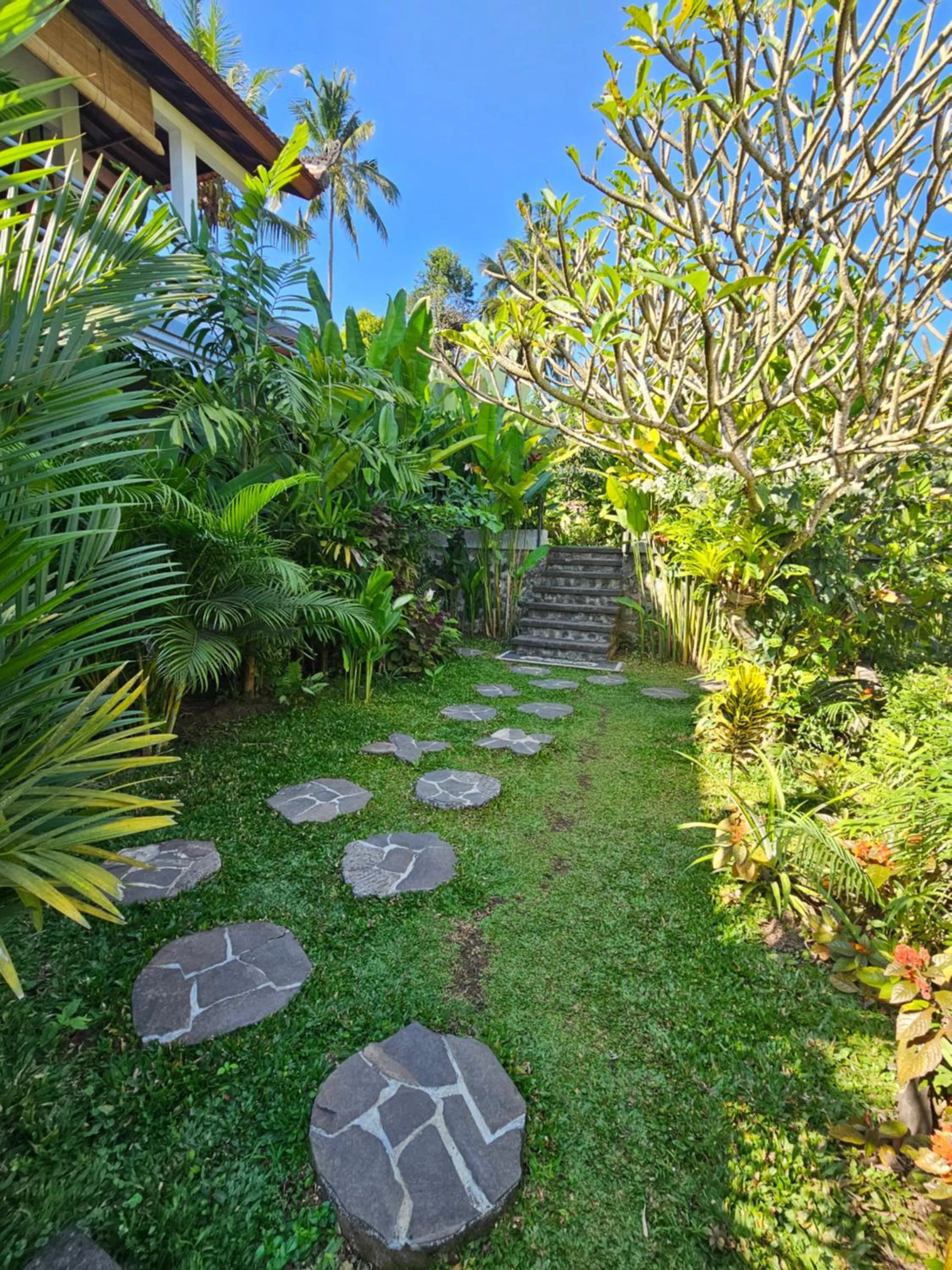 Garden in Villa Markisa Pakisan