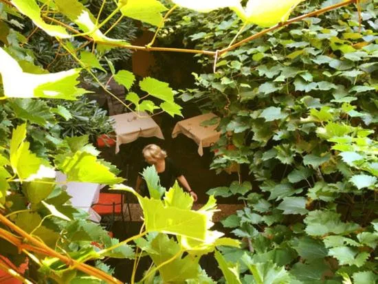 Garden view in Hotel Dolomiti