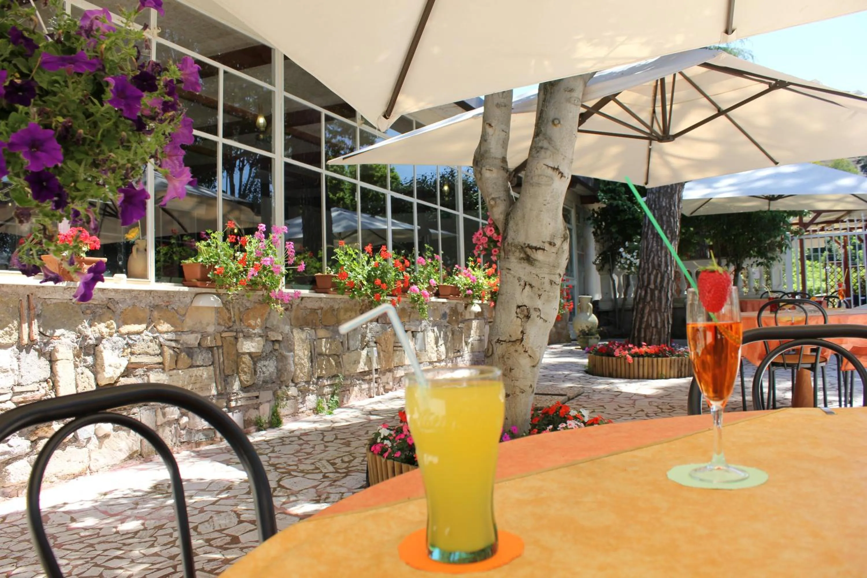 Garden in Hotel Romulus