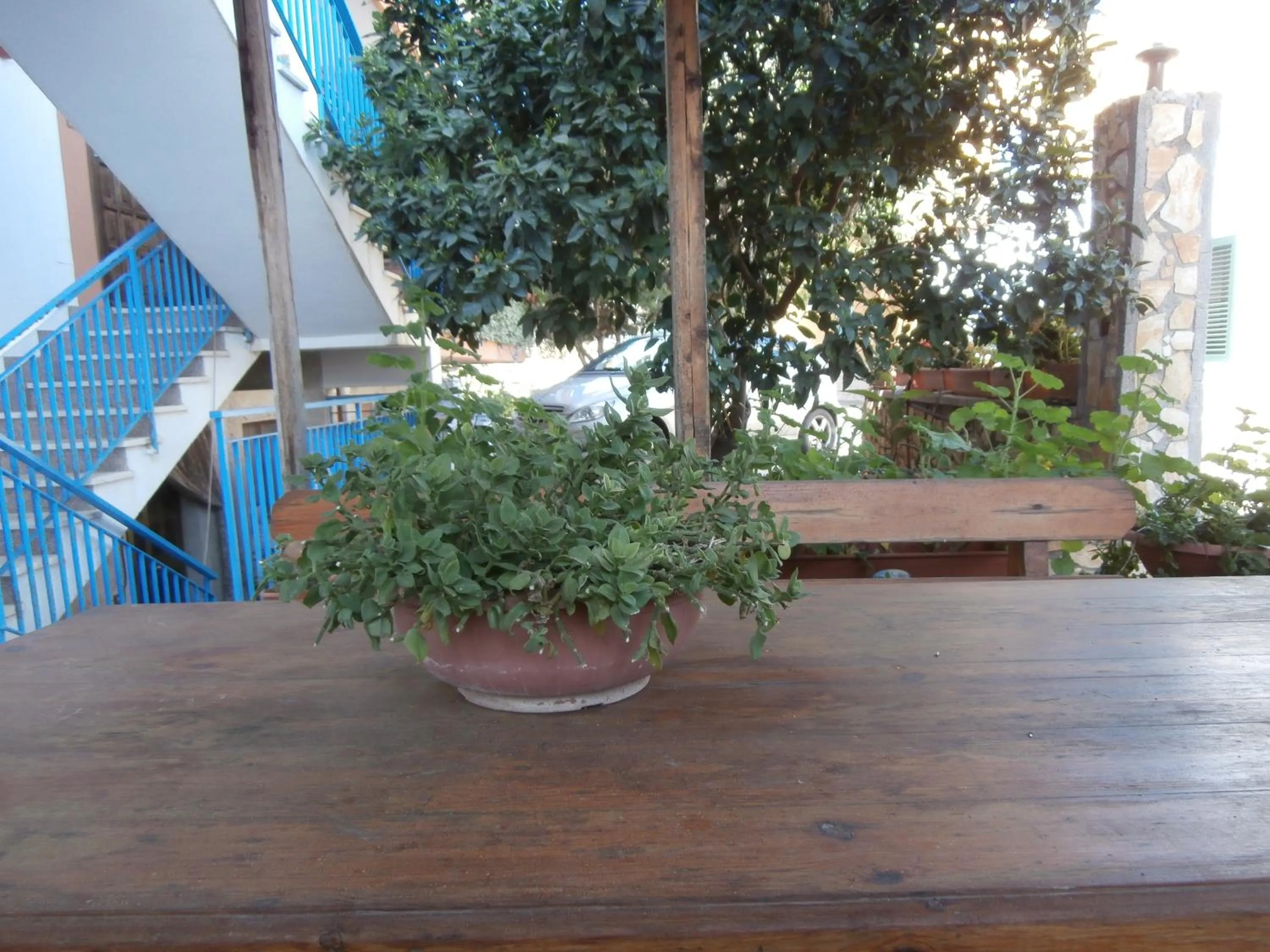 Patio in Busalacchi B&B