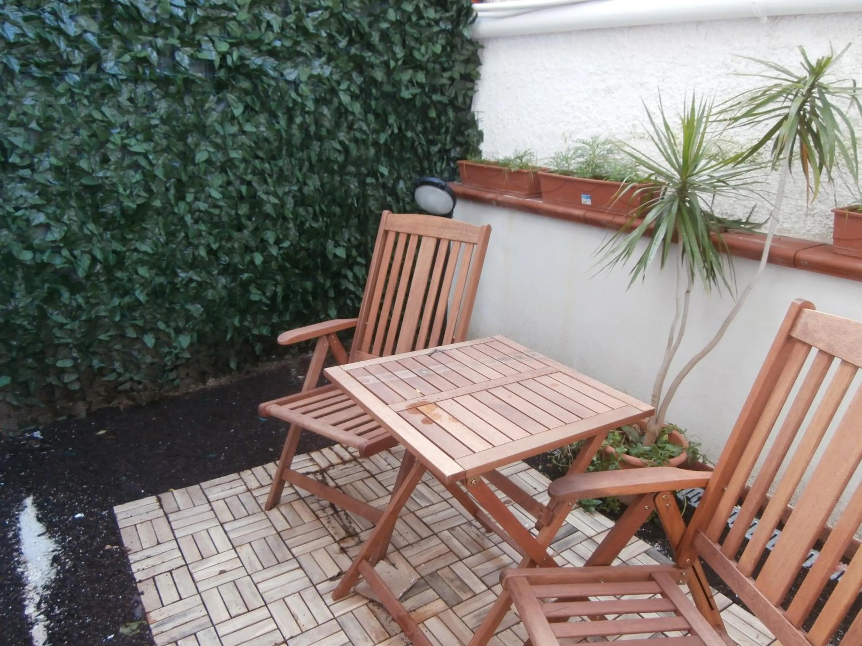 Garden in Busalacchi B&B