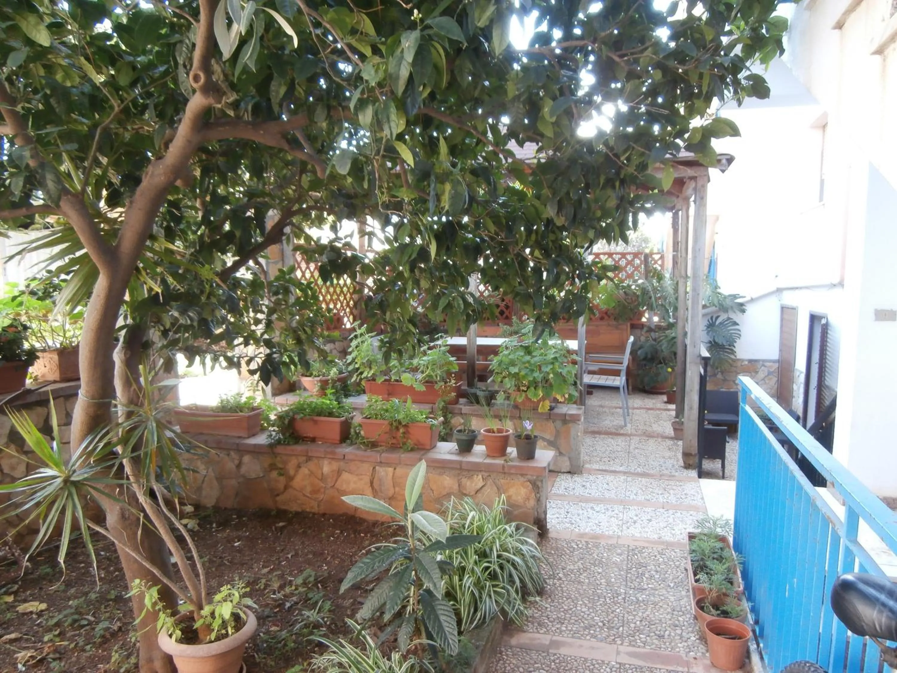 Facade/entrance in Busalacchi B&B