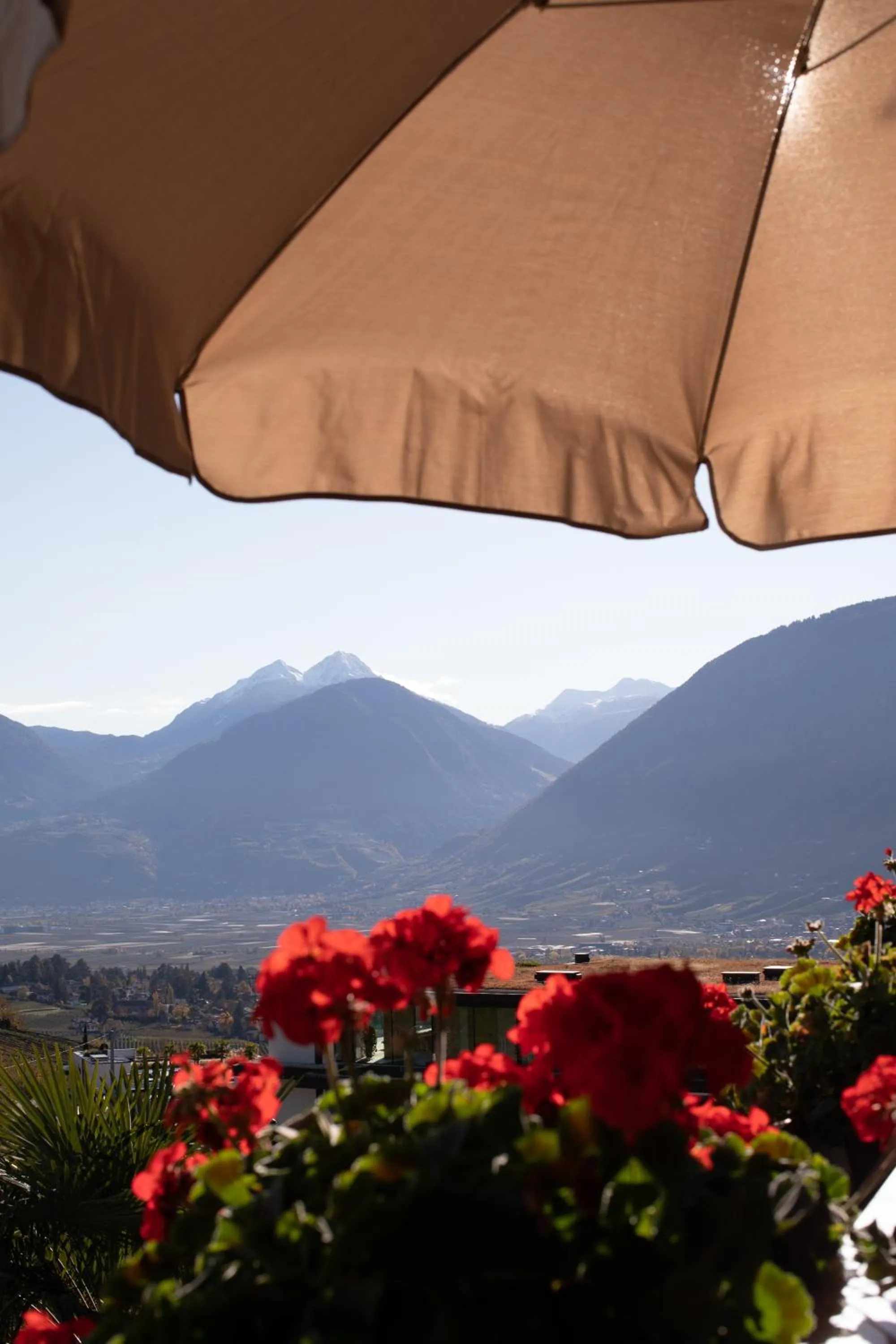 Mountain view in Residence Walchhof