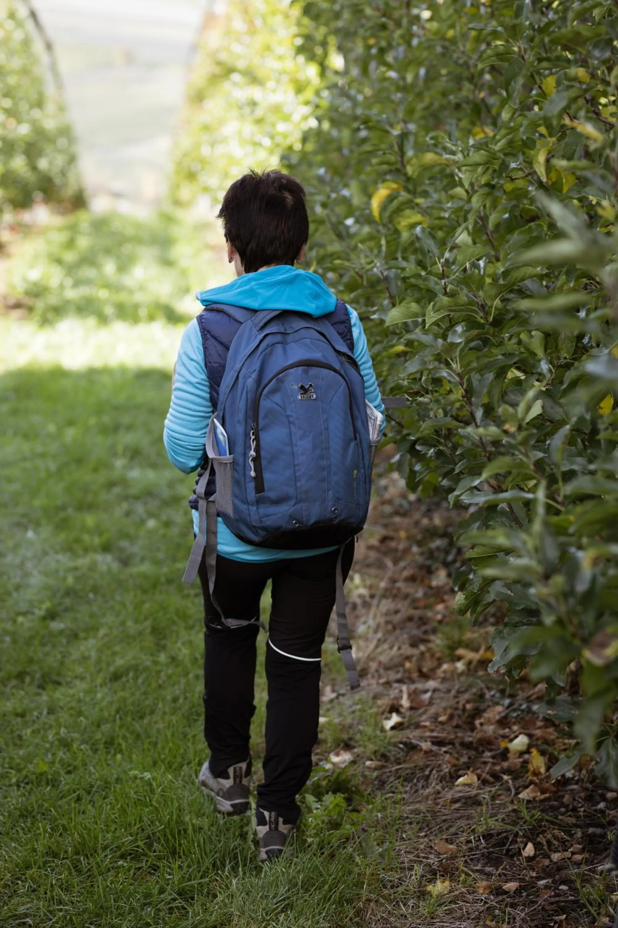 Natural landscape in Residence Walchhof