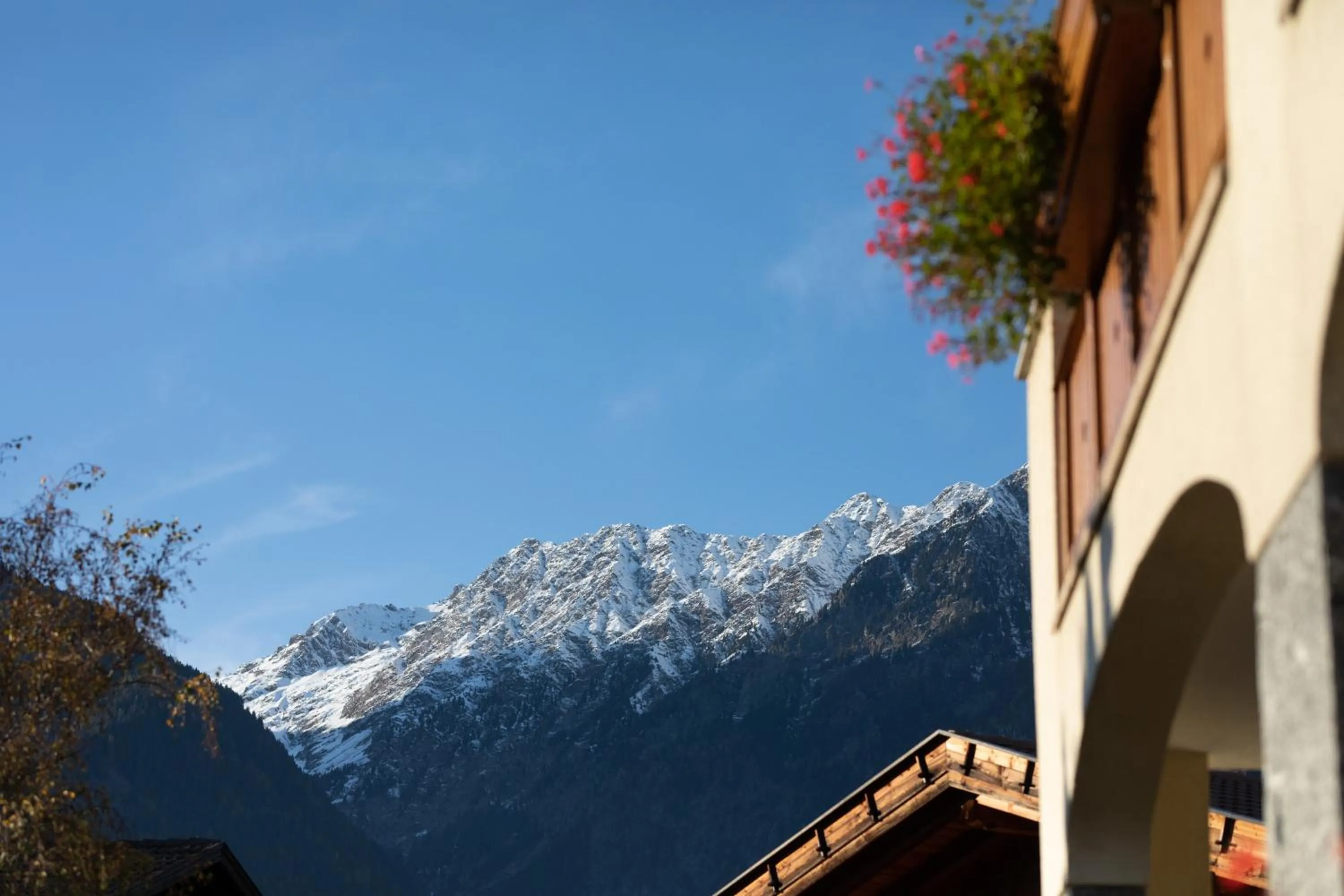 Mountain view in Residence Walchhof