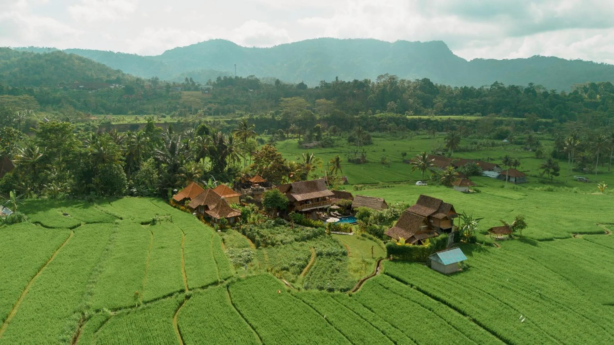 View (from property/room) in Kubu Sakian Villa and Restaurant Sidemen