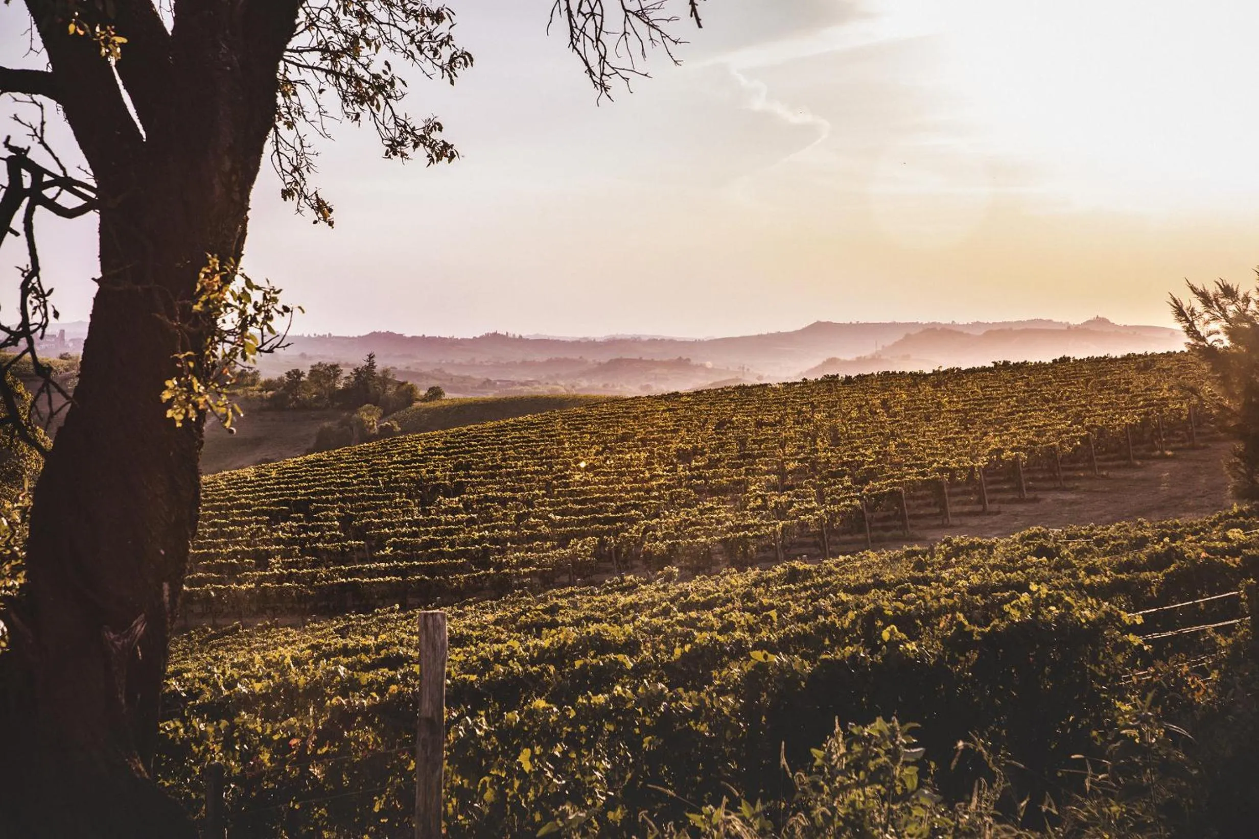 Villa Vinory Bricco di Nizza