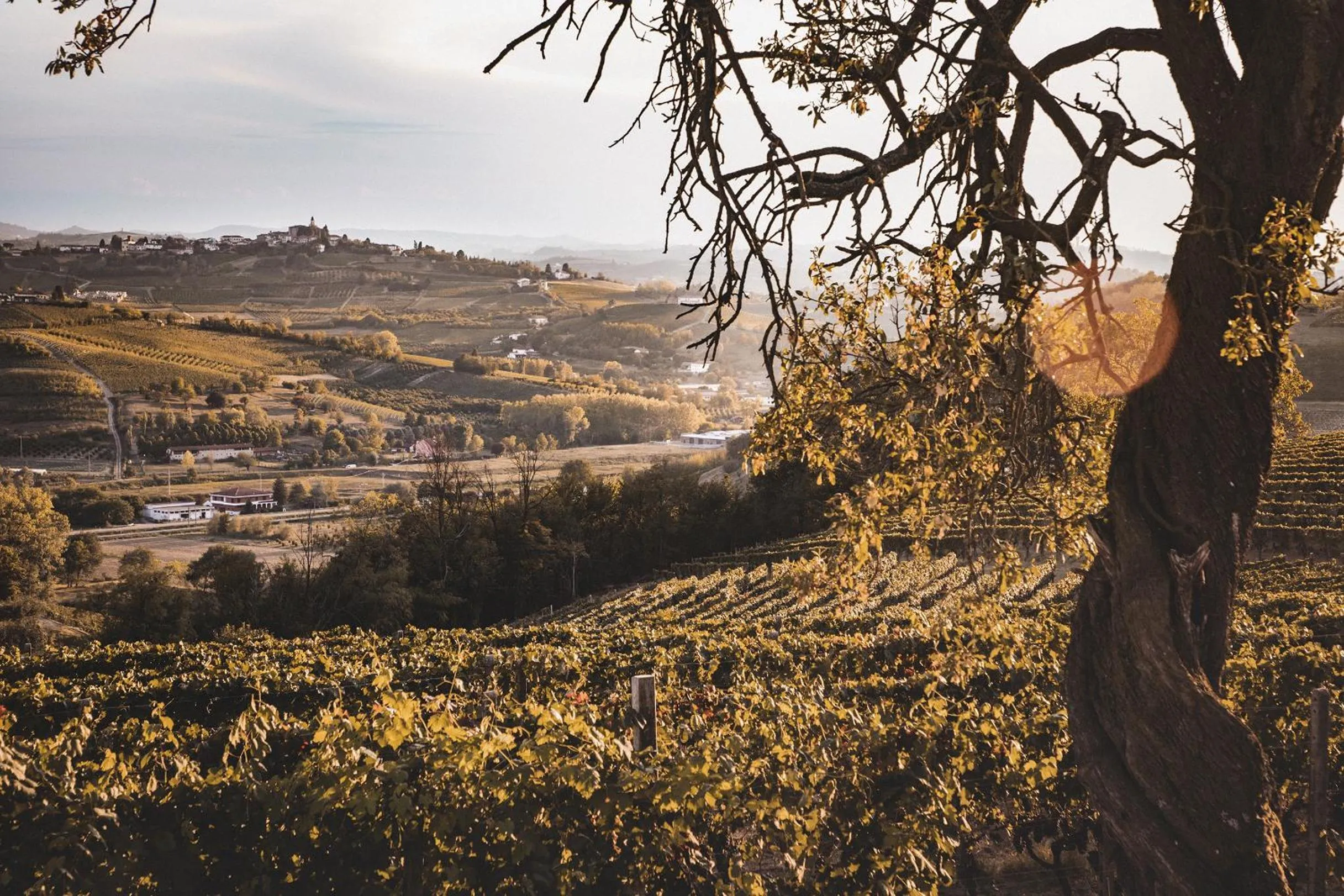 Villa Vinory Bricco di Nizza