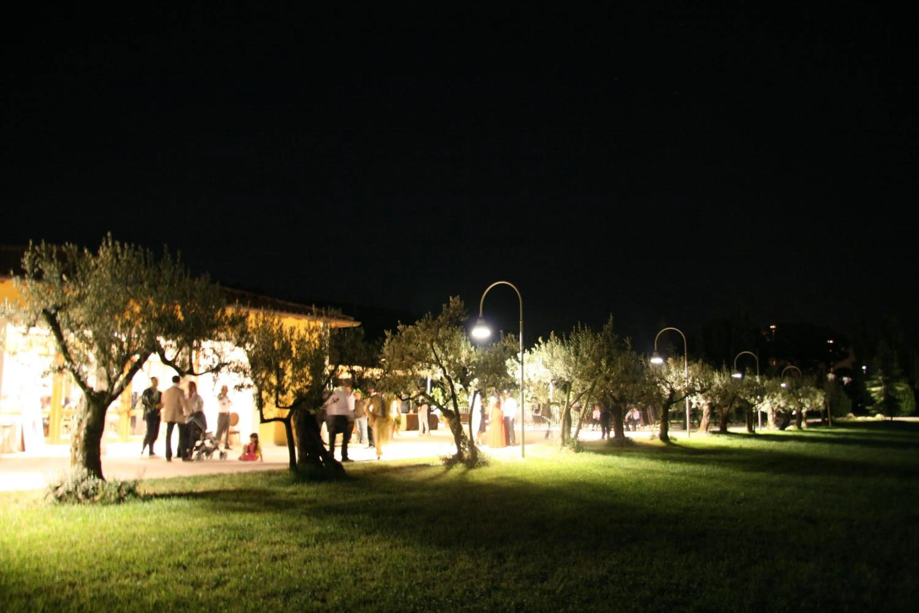 Garden in Delfina Palace Hotel