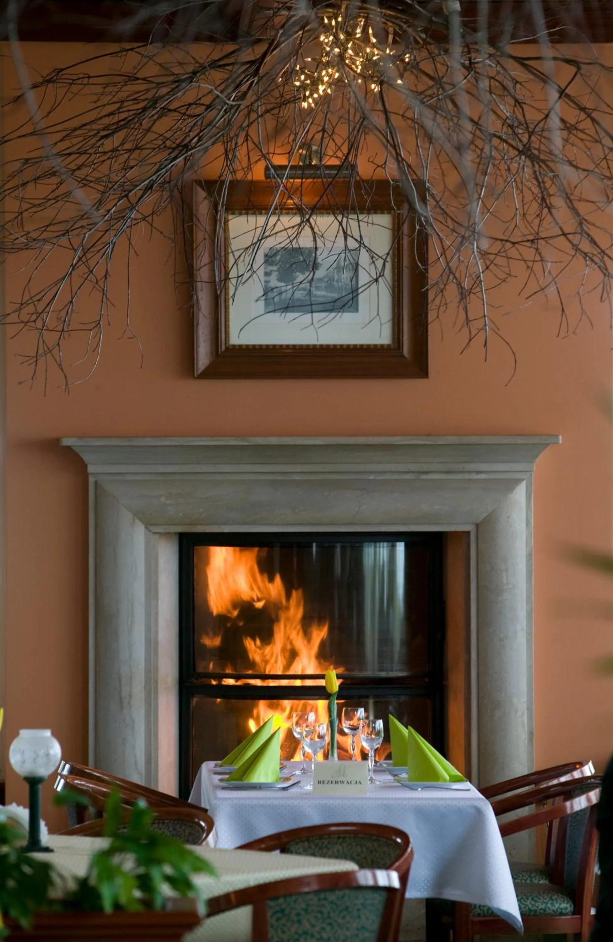 Restaurant/places to eat in Meduza Hotel & Spa