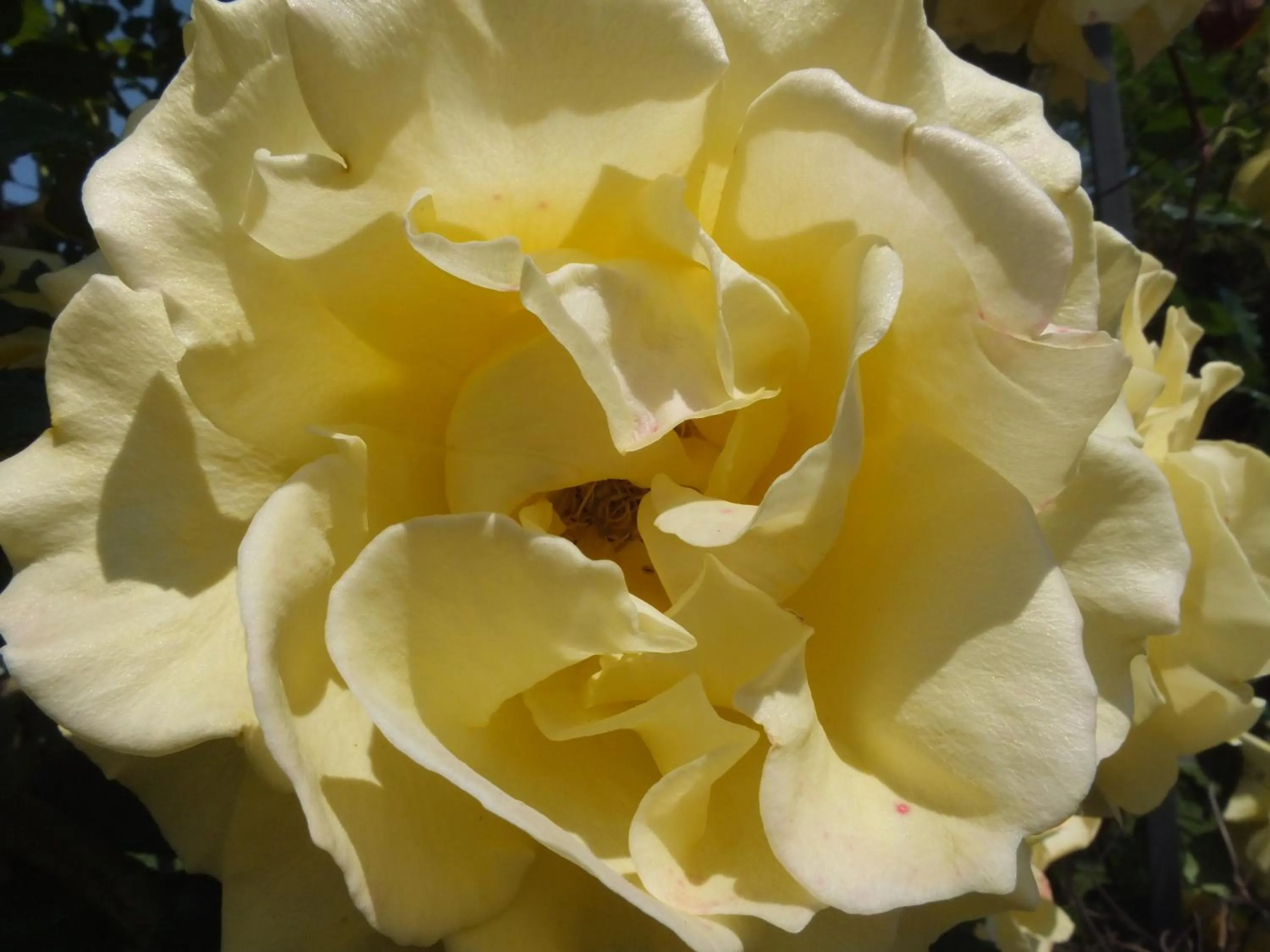Decorative detail in Casa Vacanze Santa Maria