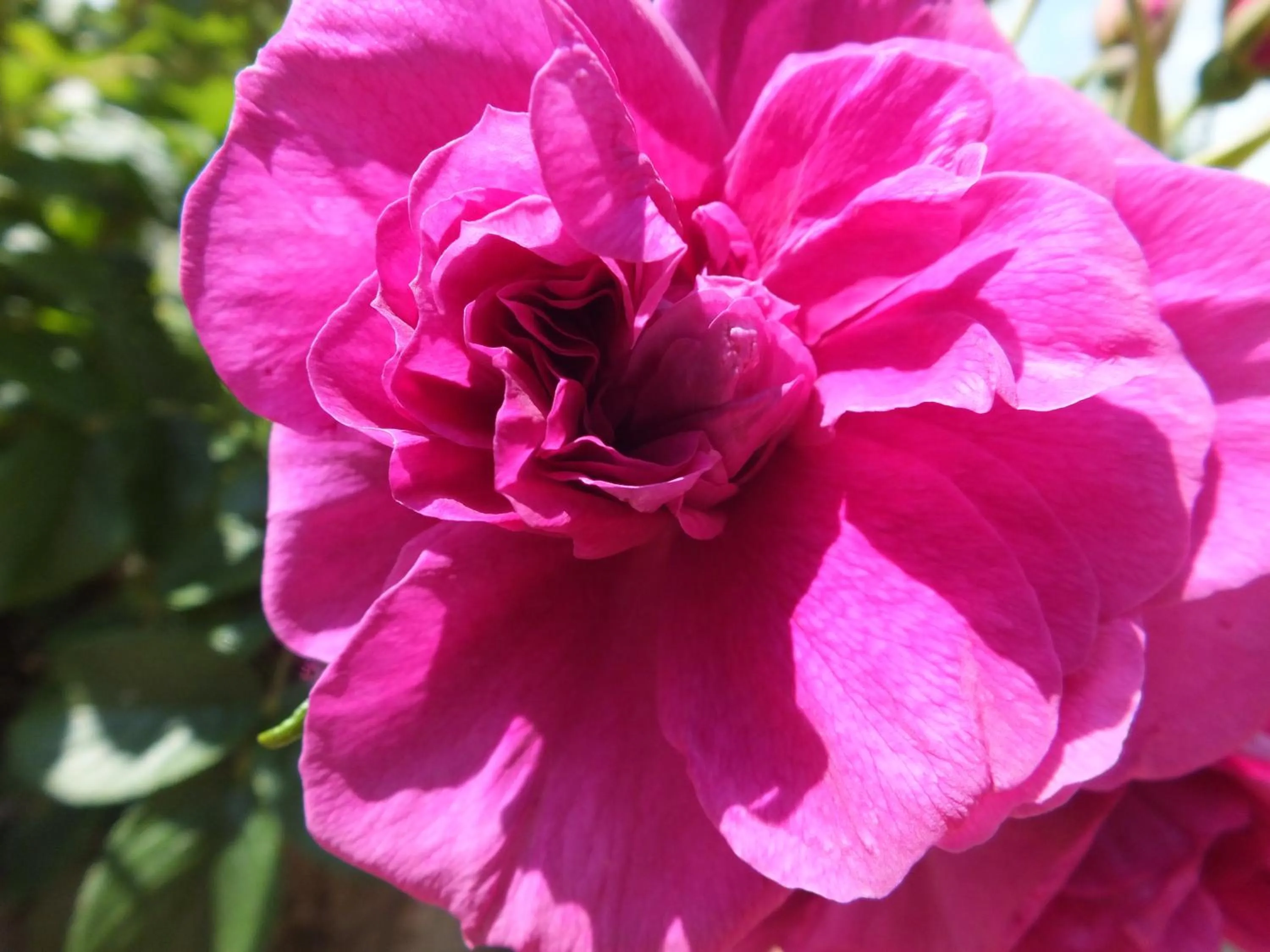 Decorative detail in Casa Vacanze Santa Maria