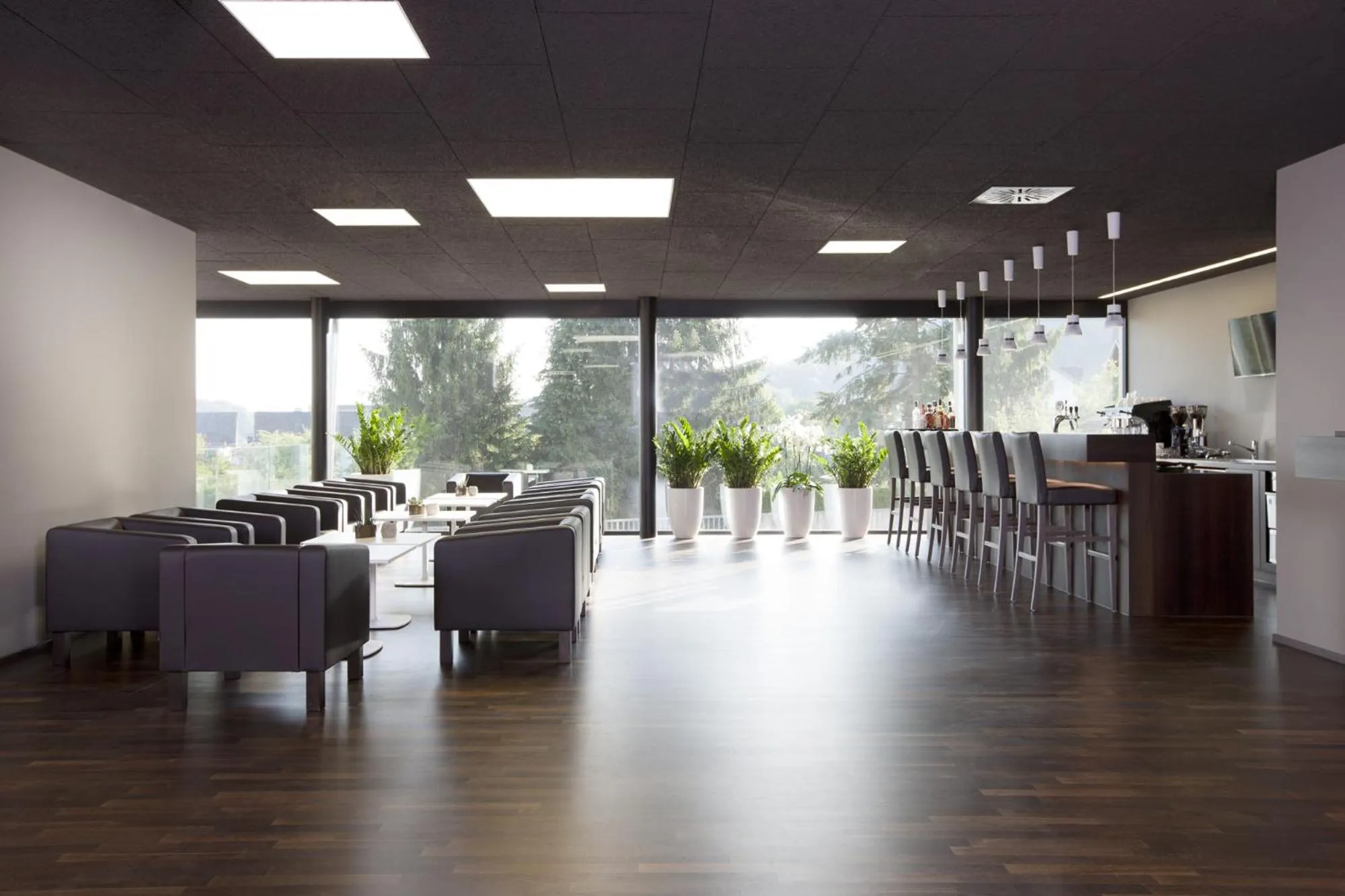 Lounge or bar in Hotel am Garnmarkt