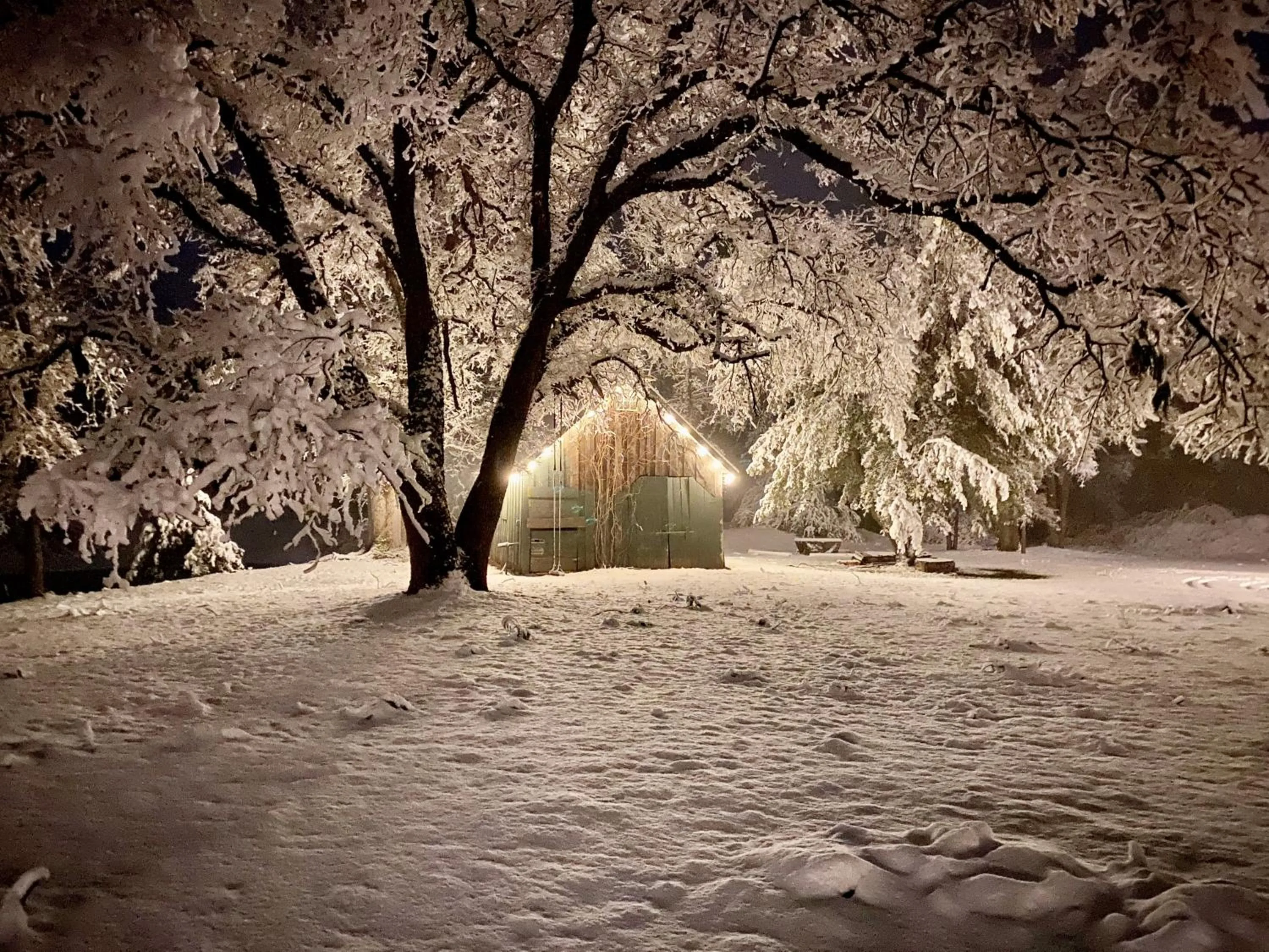 Natural landscape in Romantic Forest Lovers Nest by Casa Oso