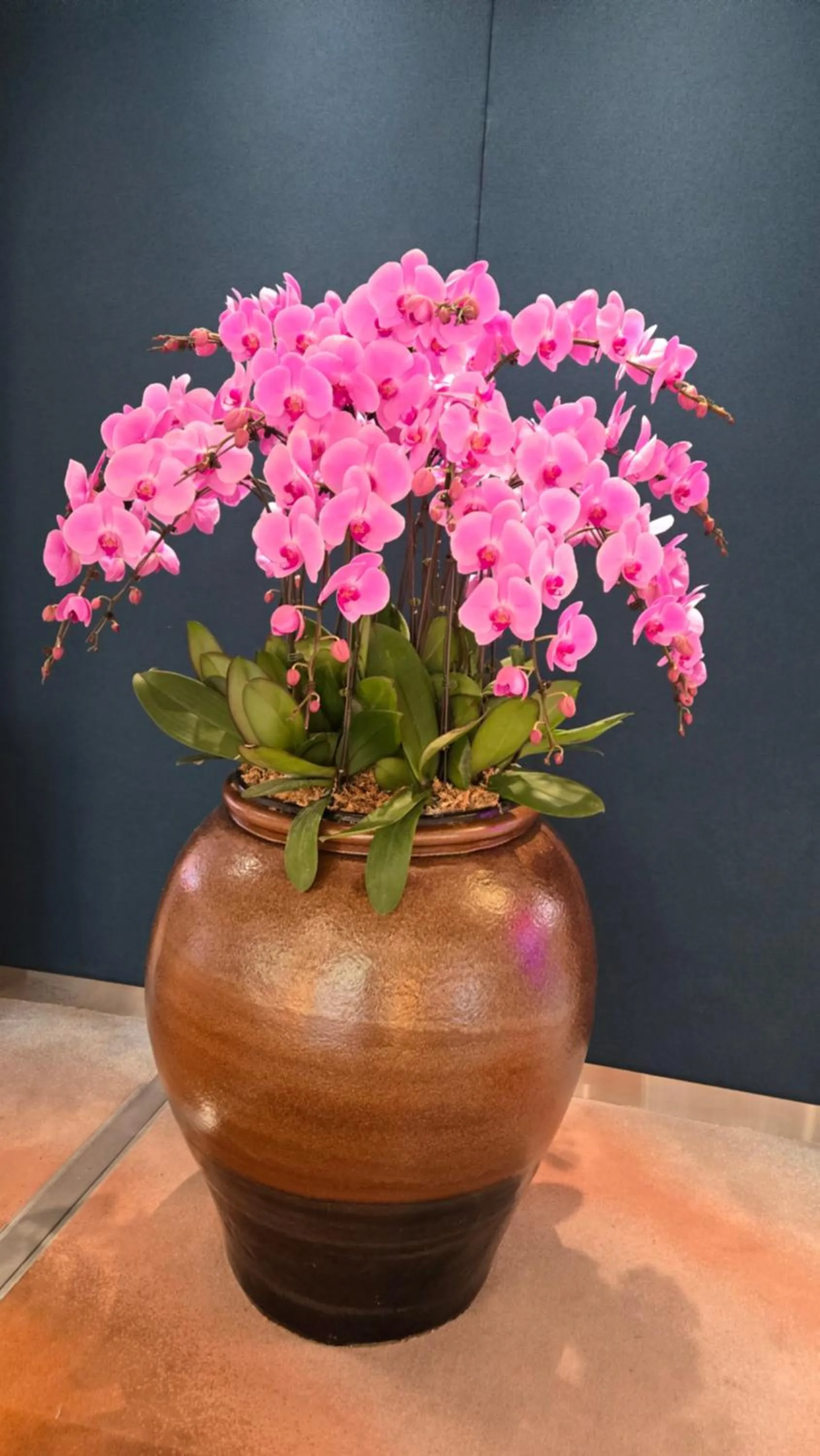 Decorative detail in Kings Of Riccarton Motel- Close to Railway Station and Airport with Shuttle service