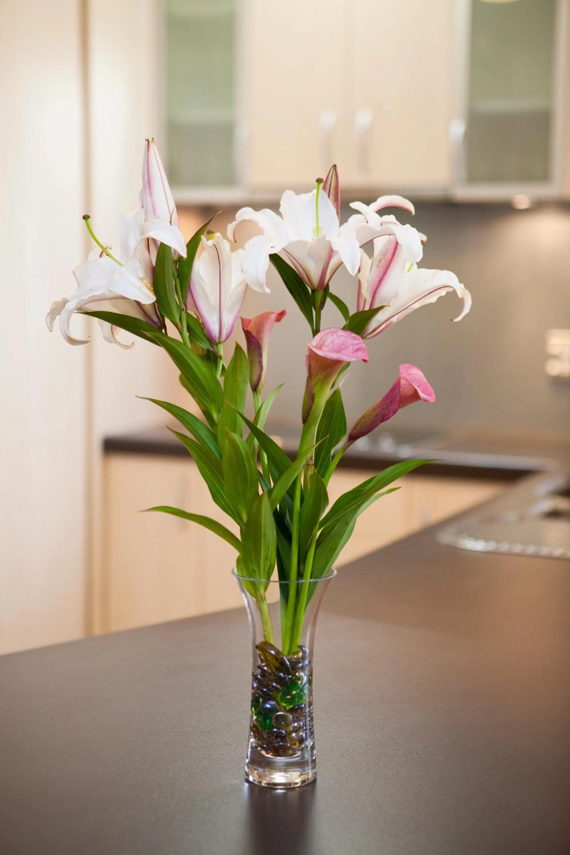 Dining area in Kings Of Riccarton Motel- Close to Railway Station and Airport with Shuttle service