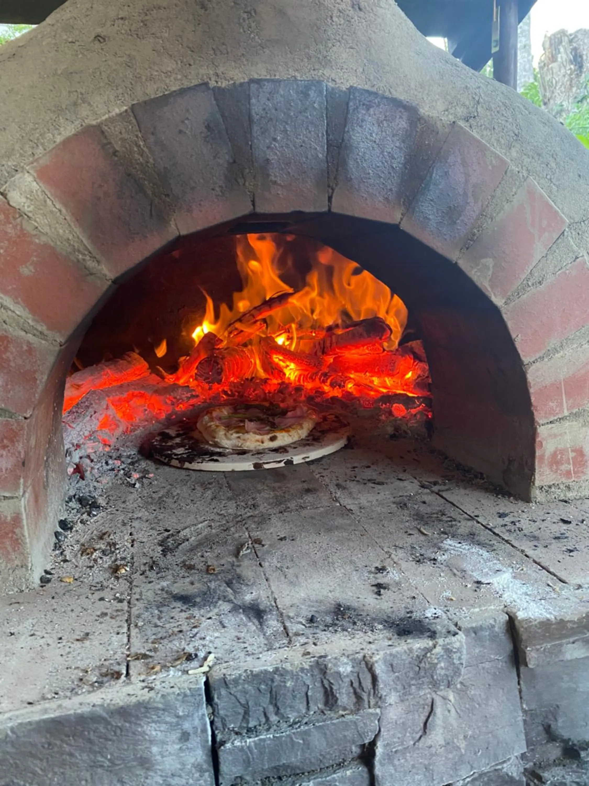Activities in ISOLA Izukogen