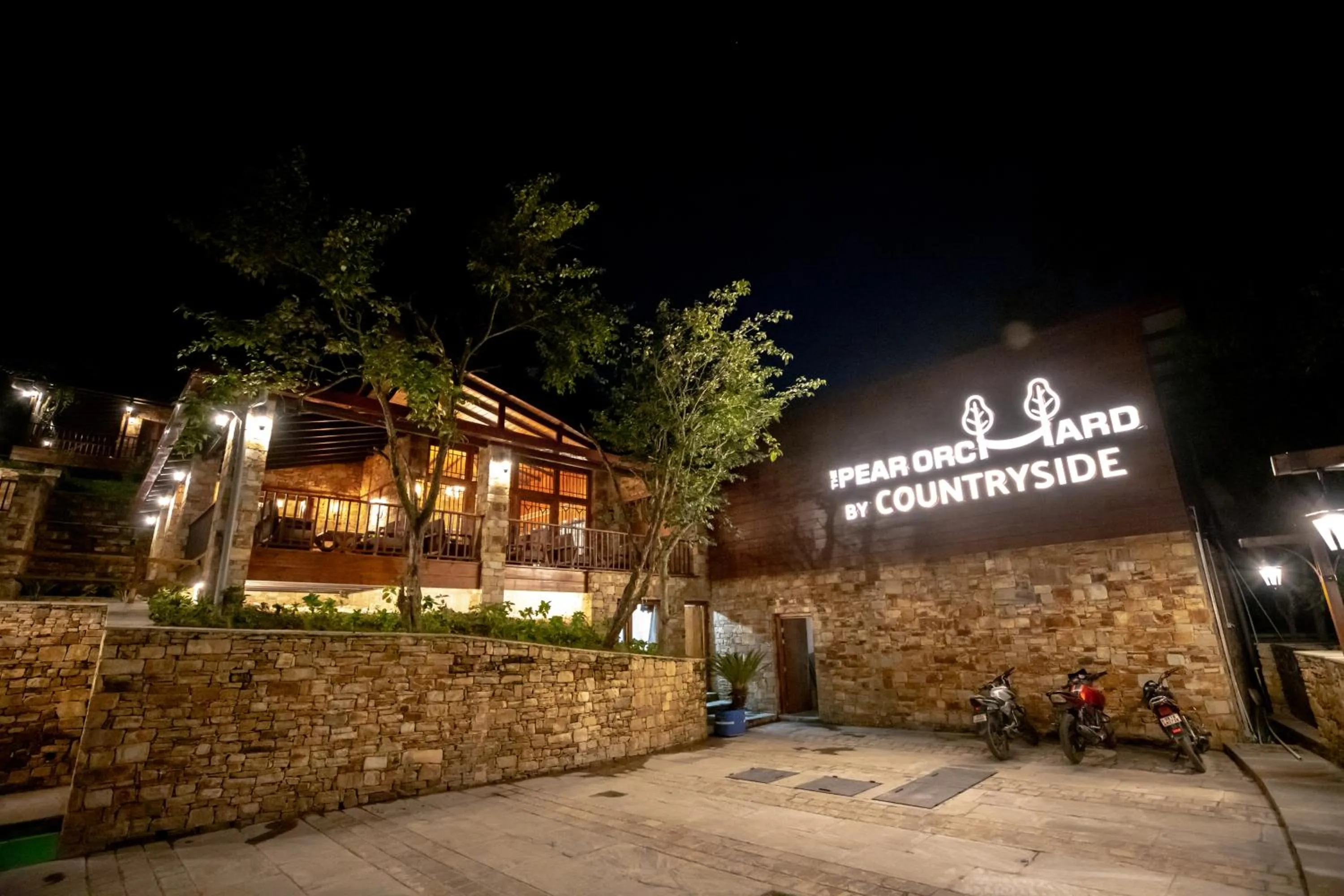 Night in The Pear Orchard By Countryside