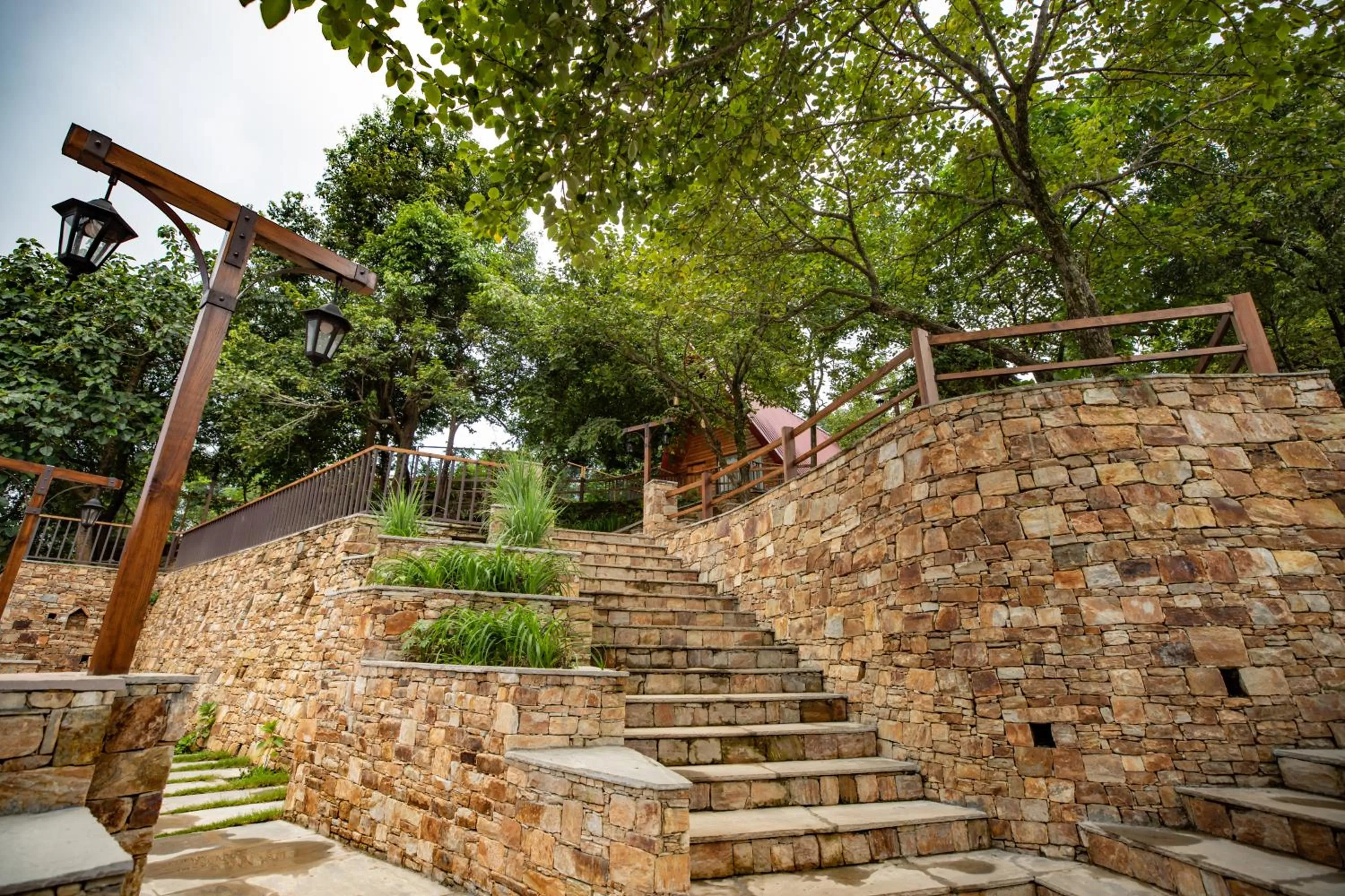 Natural landscape in The Pear Orchard By Countryside