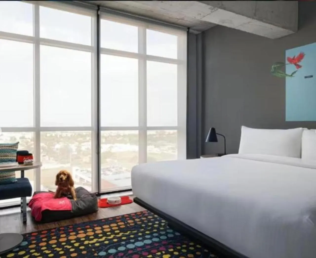 Bed in Aloft Guadalajara Sur