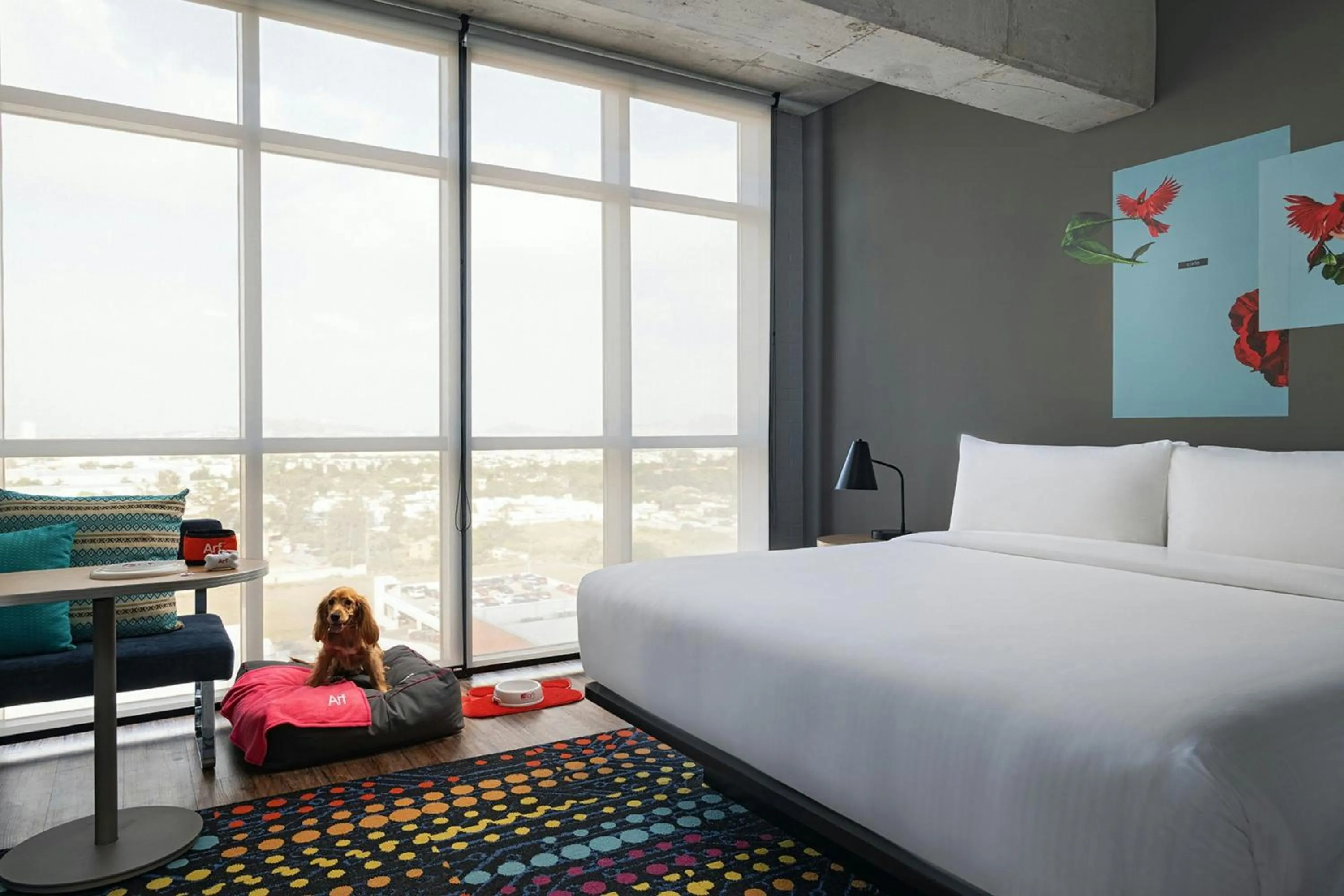 Bedroom, Bed in Aloft Guadalajara Sur