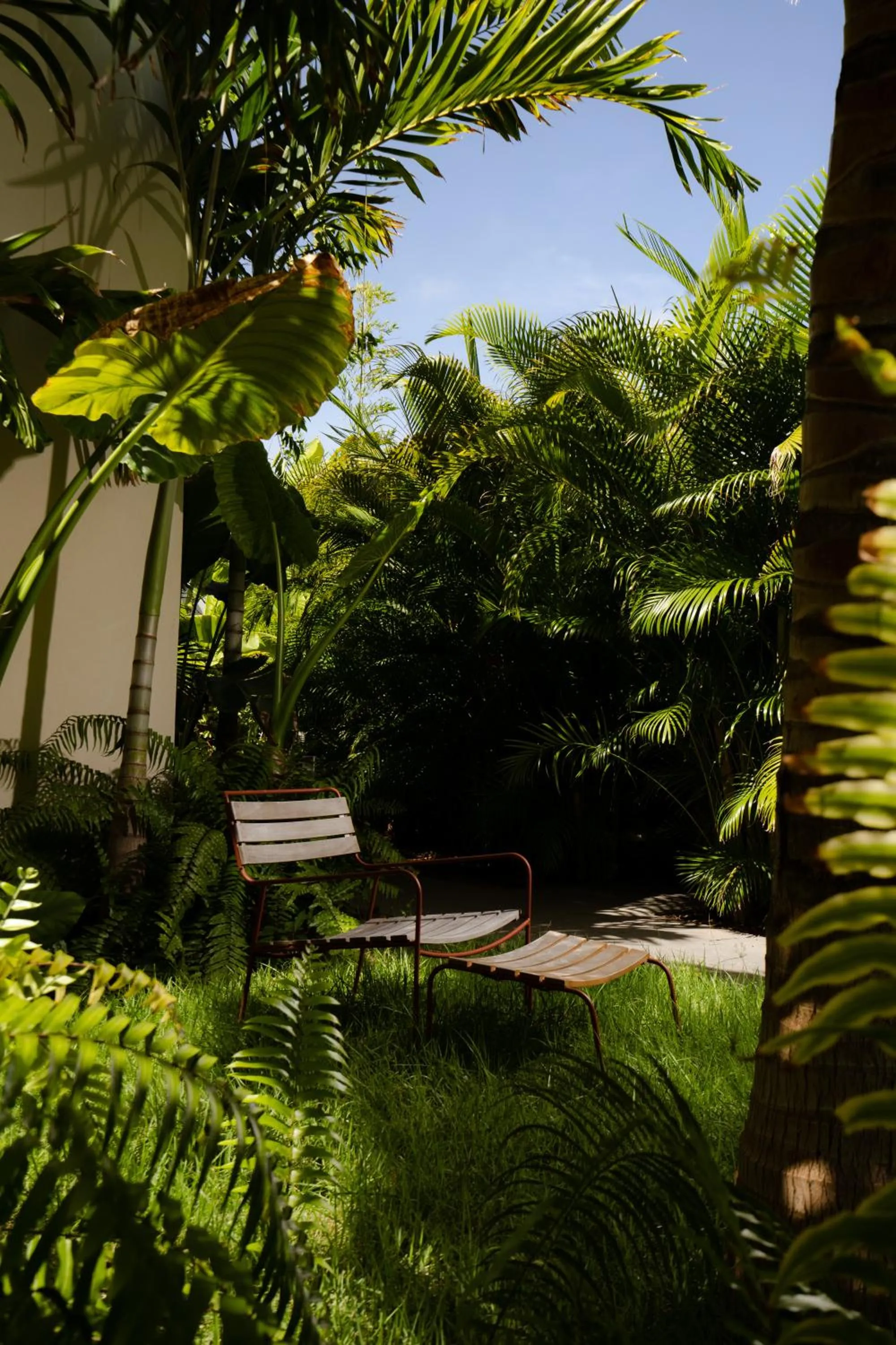 Garden in Le Martin Boutique Hôtel