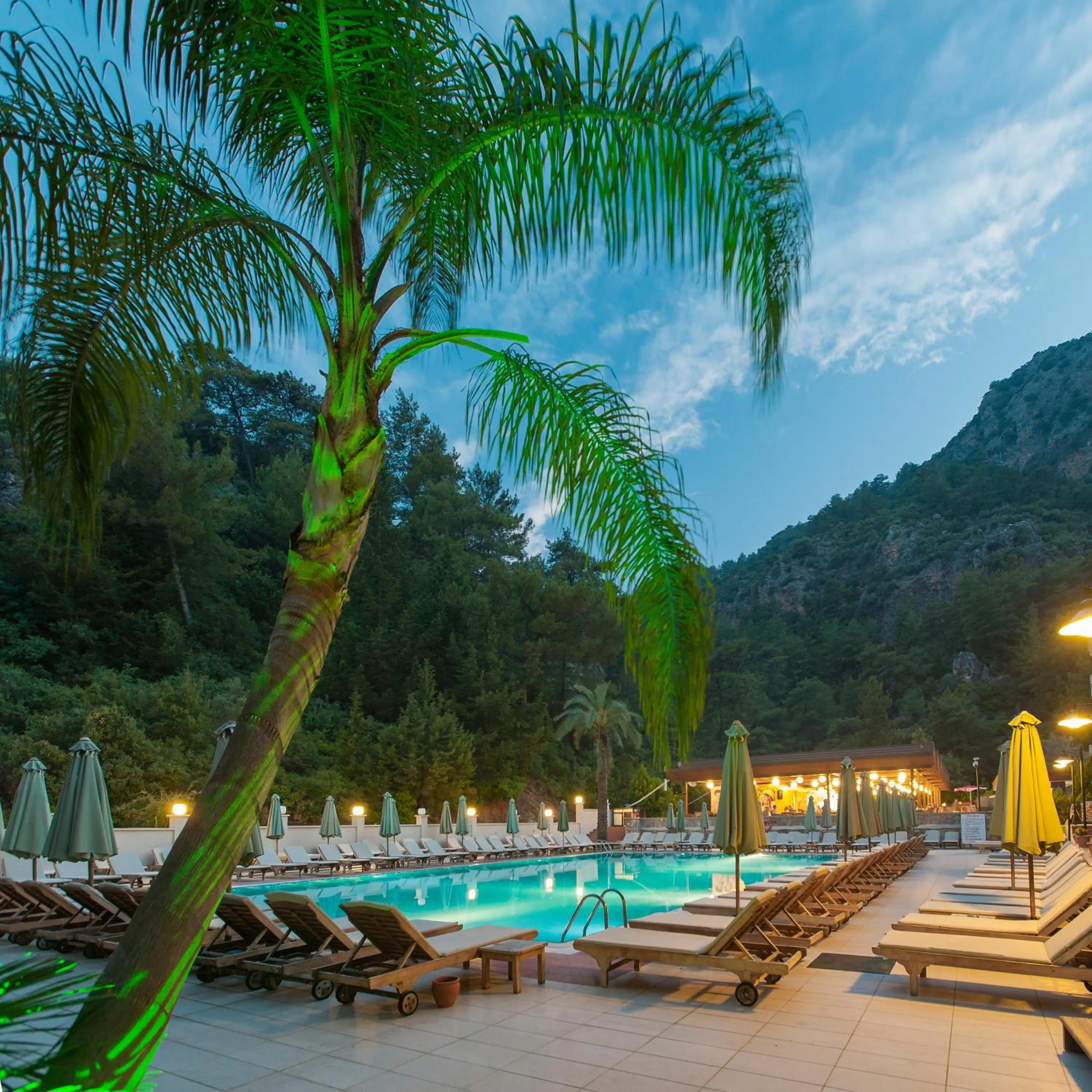 Off site in Julian Forest Suites