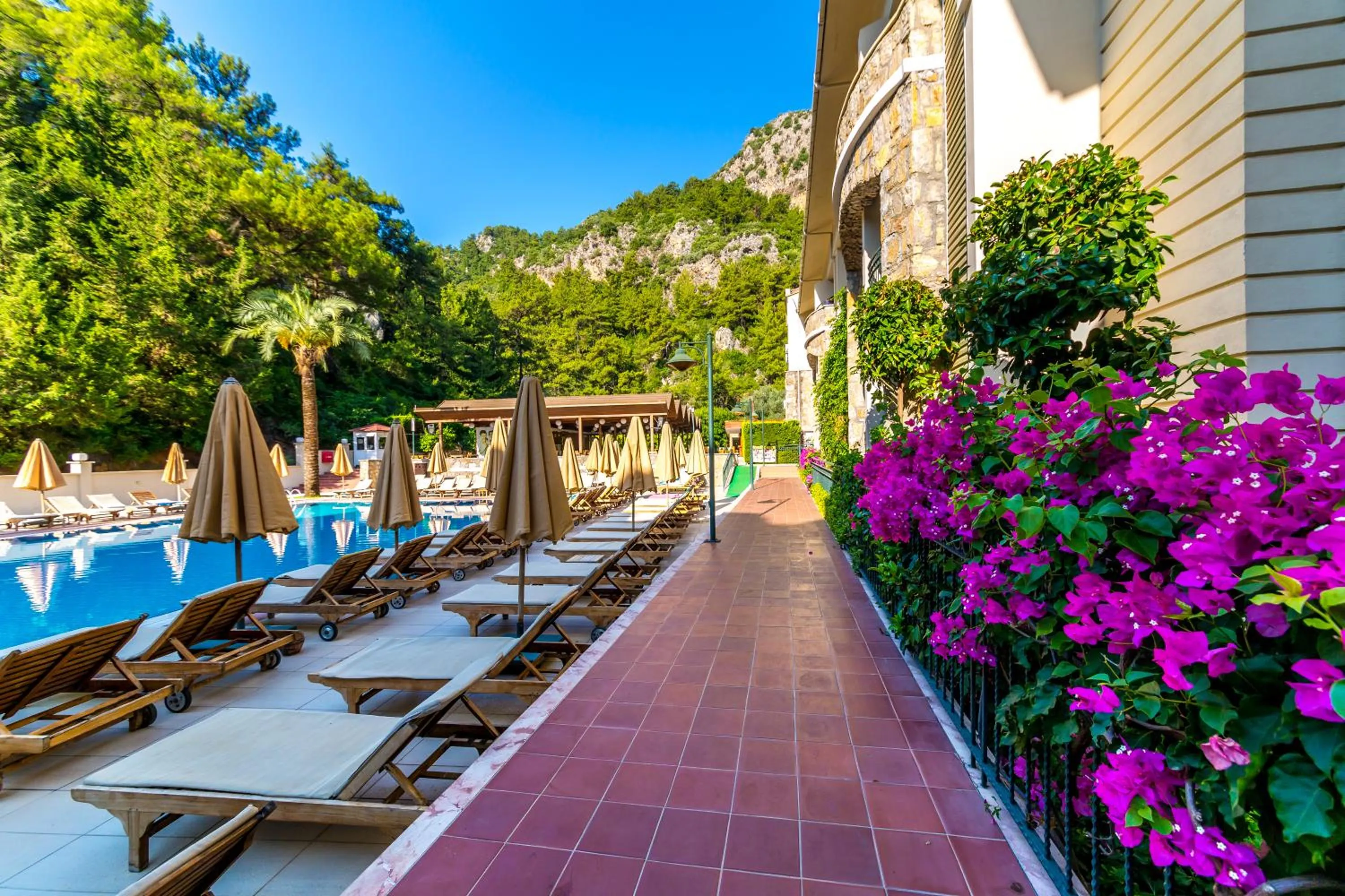 Julian Forest Suites