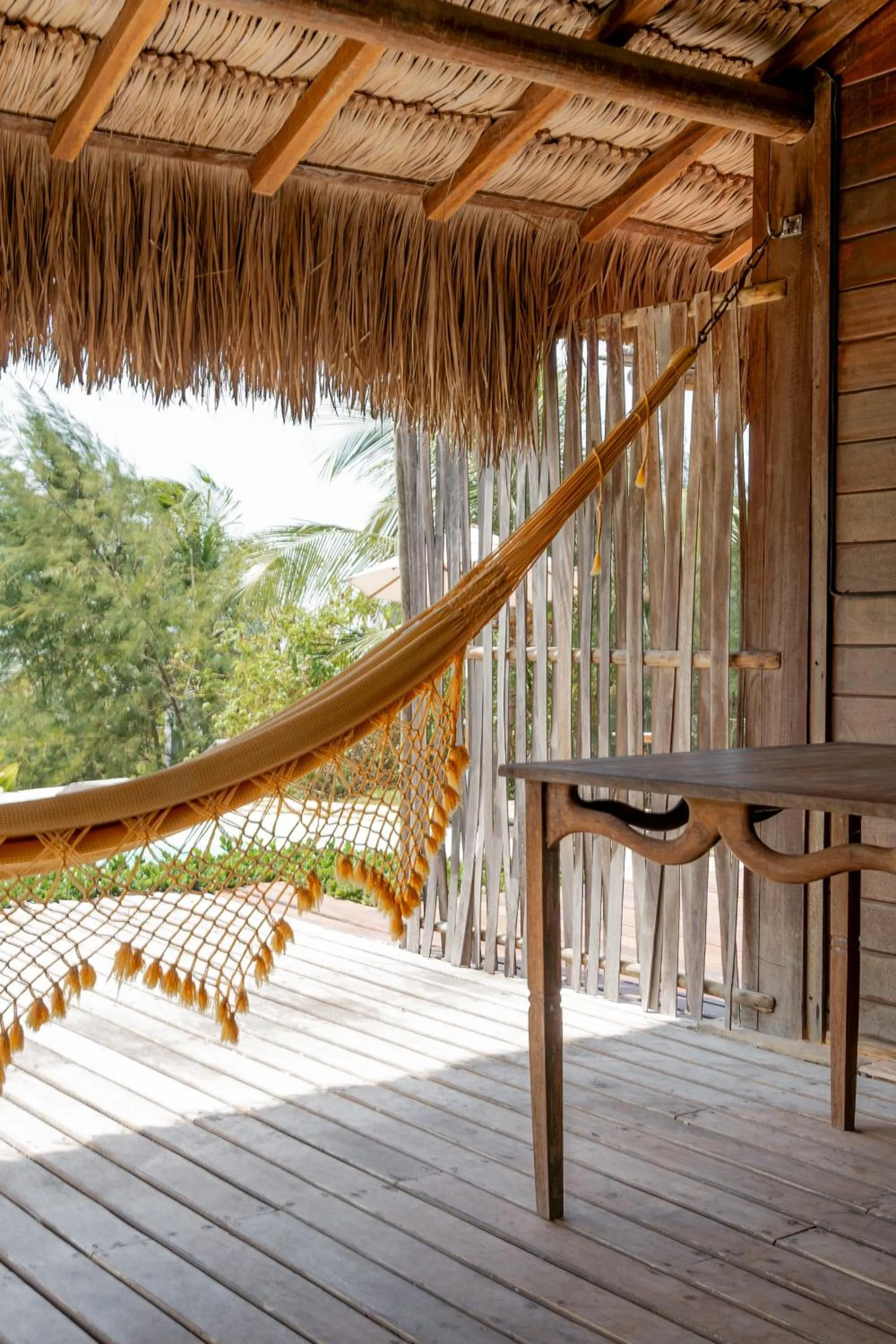 Patio in Villa Mango