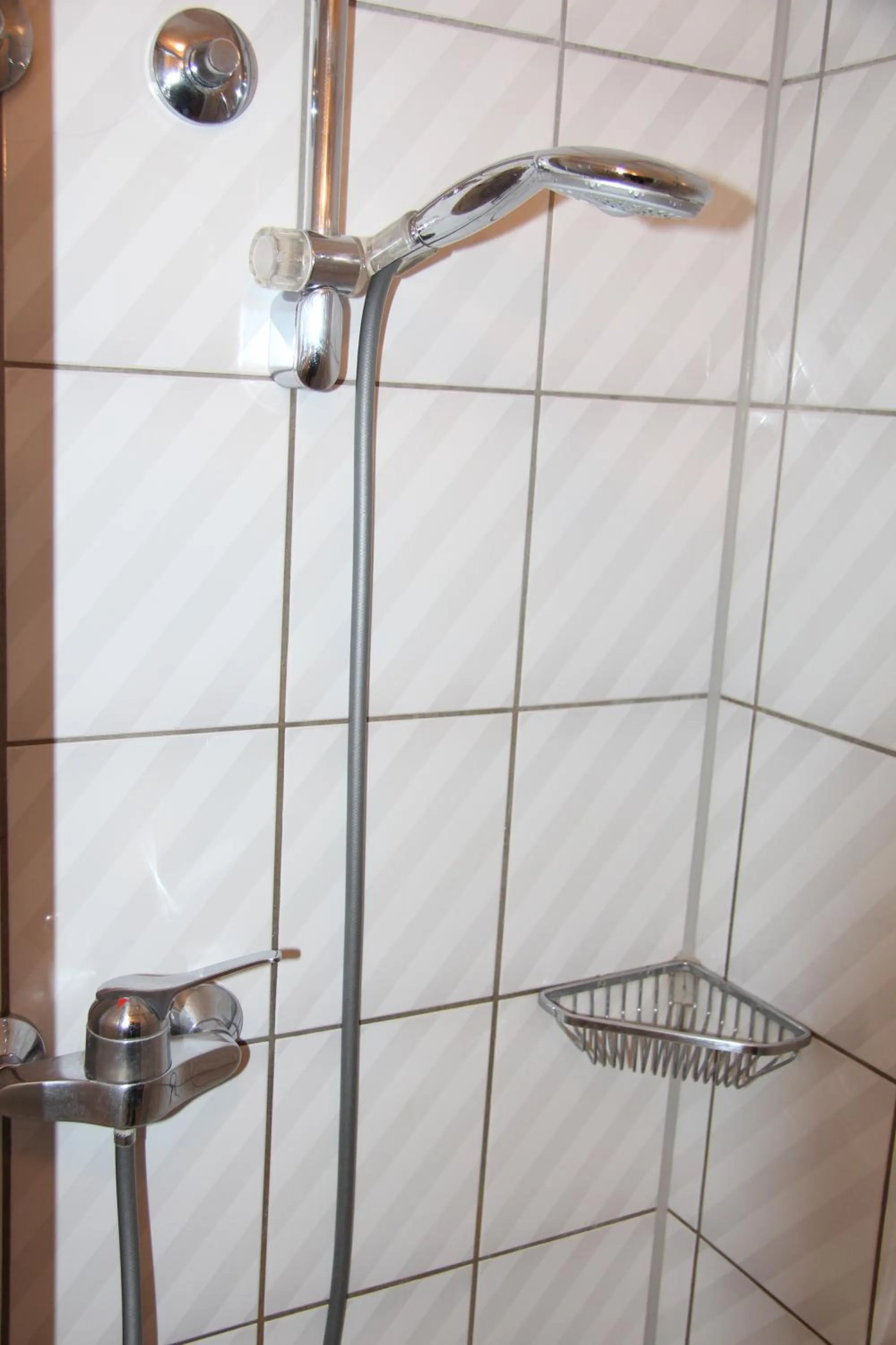 Shower in Hotel am Schloss Neuenstein