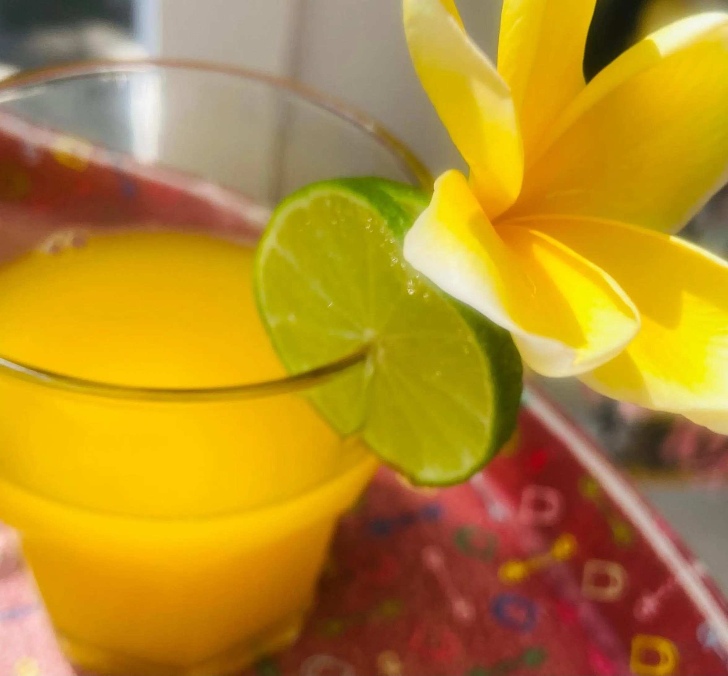 Follow Your Dreams Gili Air