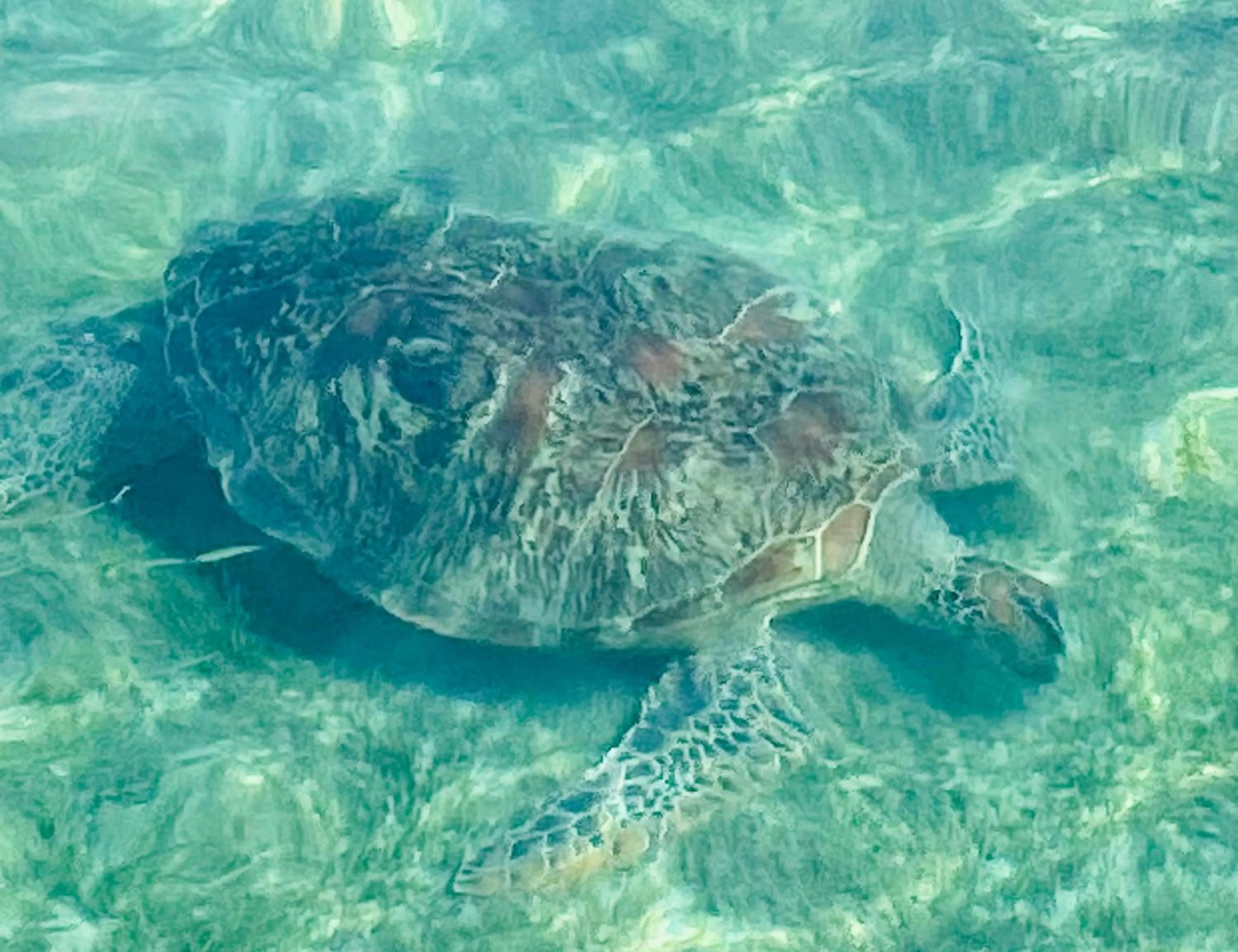 Follow Your Dreams Gili Air