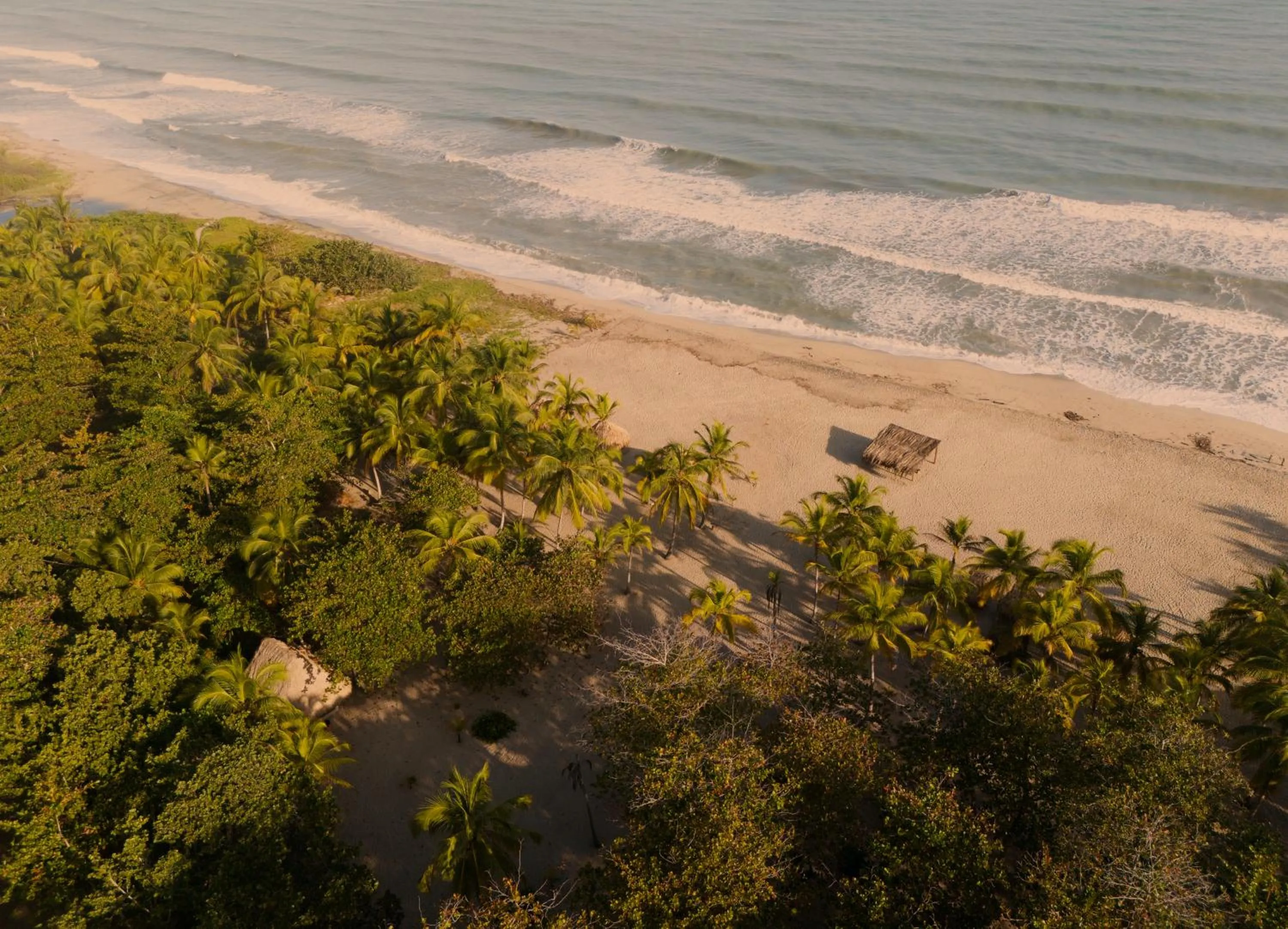 Beach in Santuario Playa Bonita