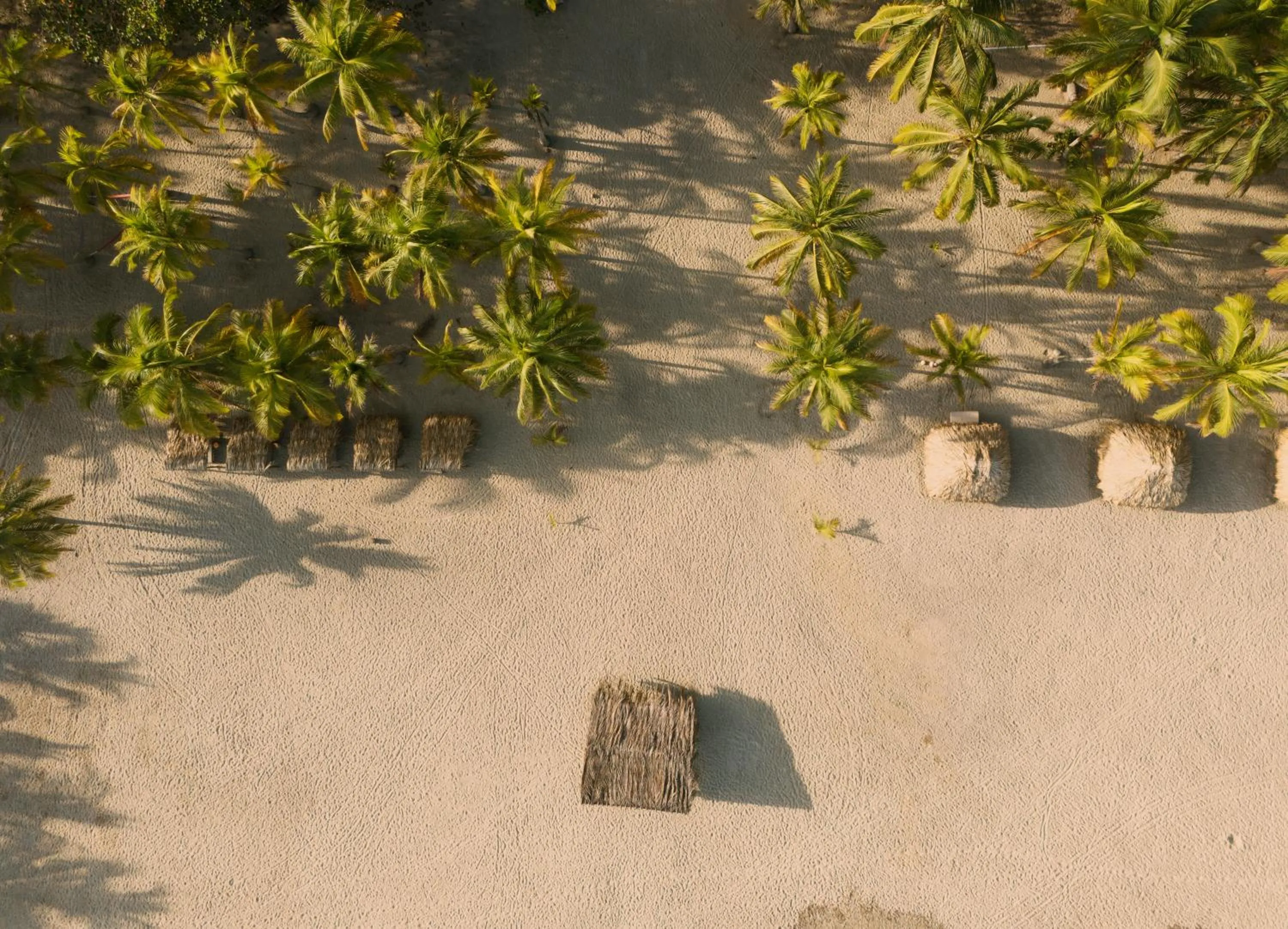 Beach in Santuario Playa Bonita