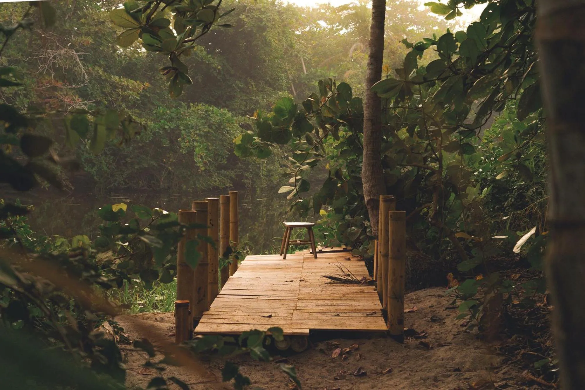 Natural landscape in Santuario Playa Bonita