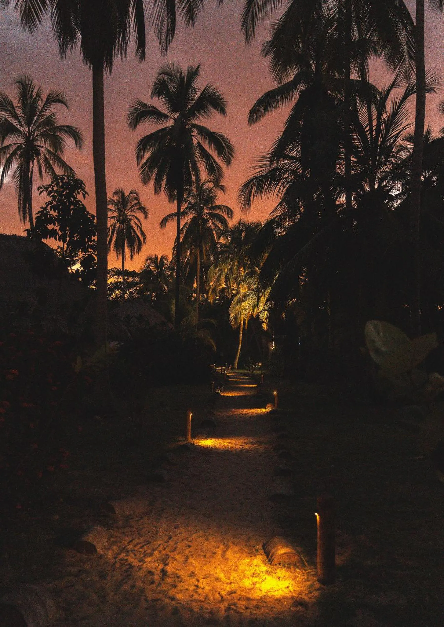 Night in Santuario Playa Bonita