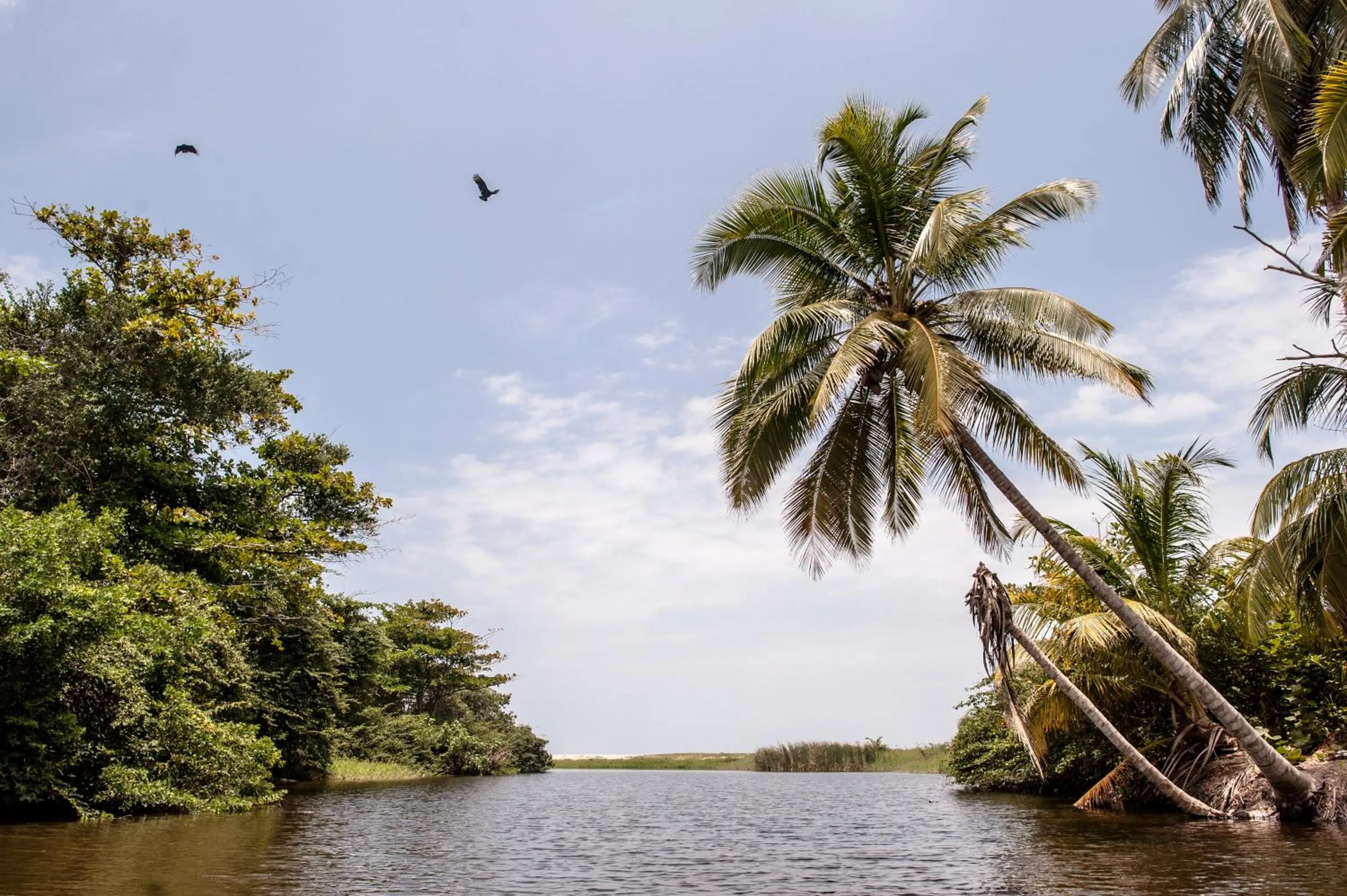 Natural landscape in Santuario Playa Bonita