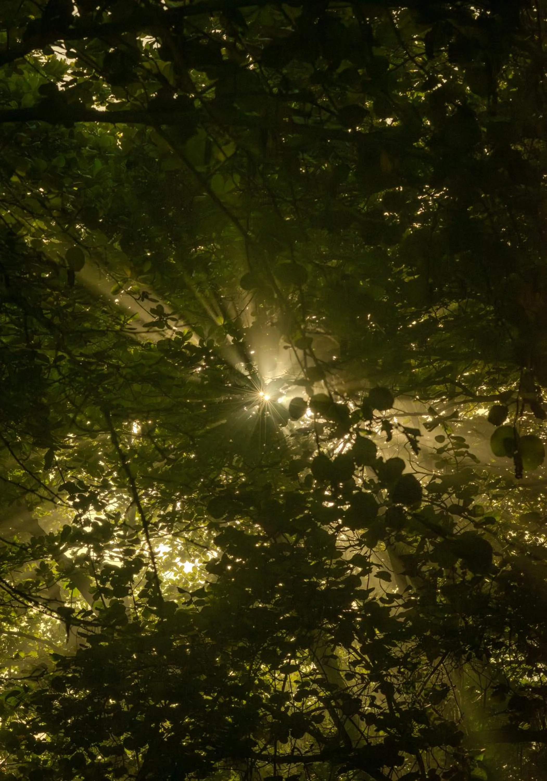 Natural landscape in Santuario Playa Bonita