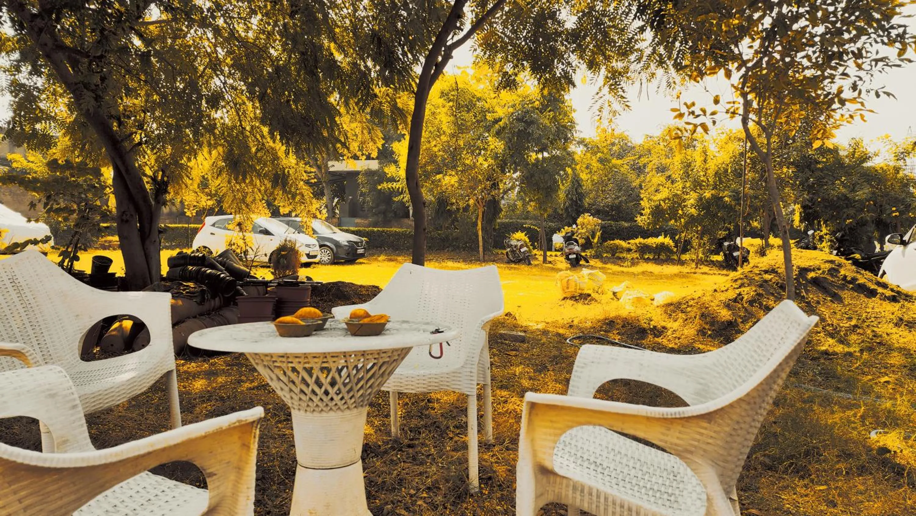 Day in Green Club Farm