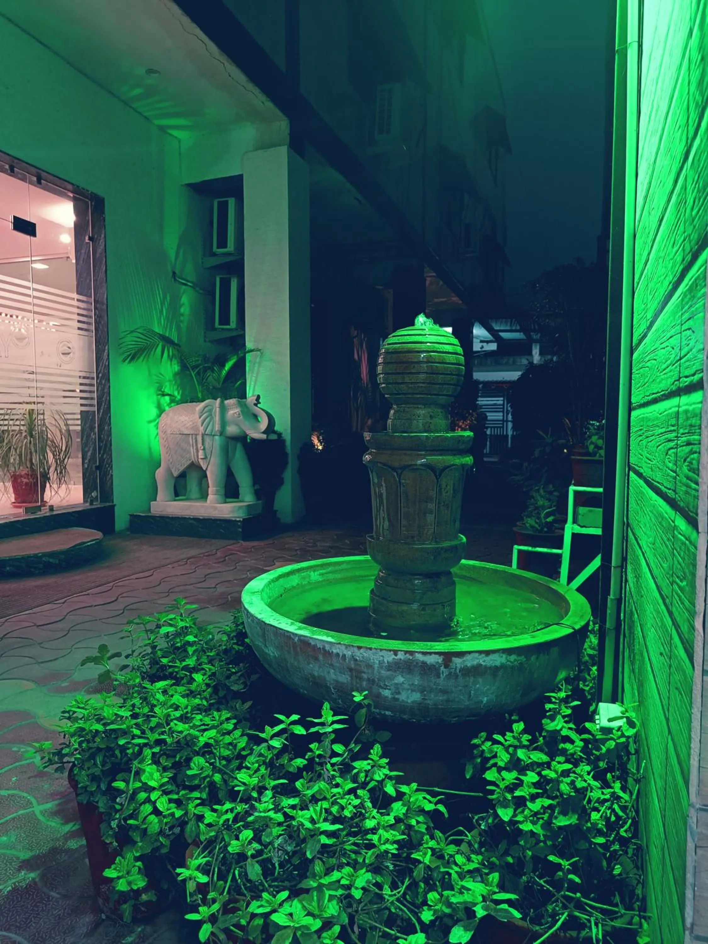 Night in Green Club Farm