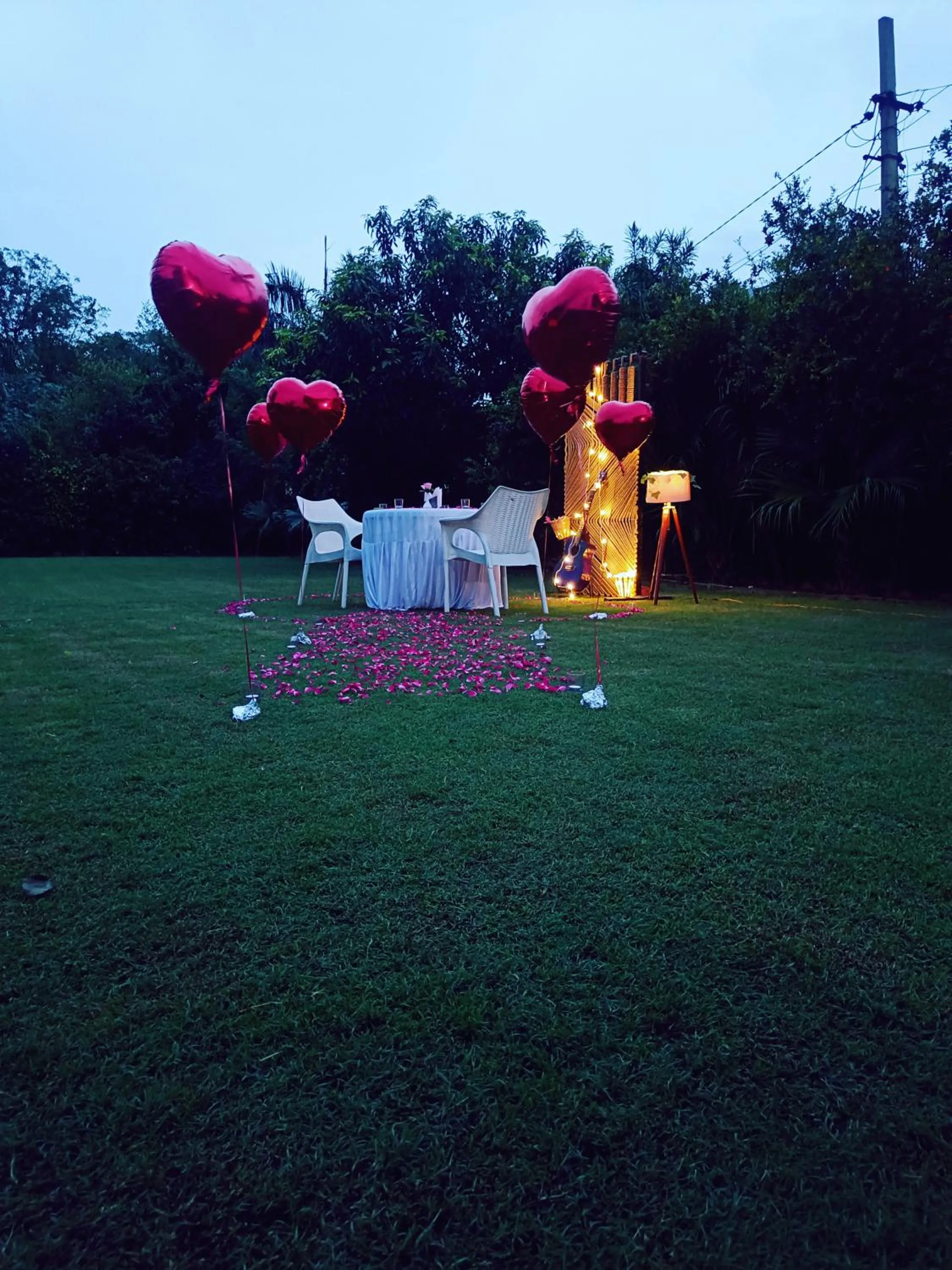 Garden in Green Club Farm