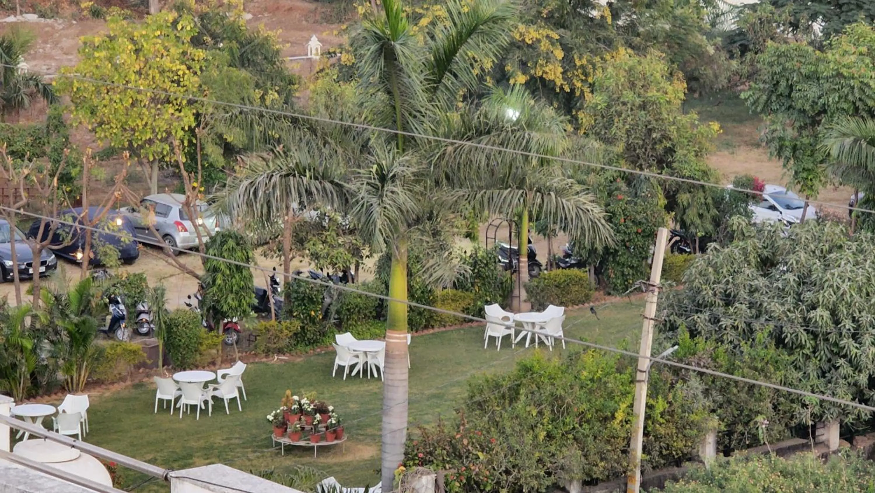 Day in Green Club Farm