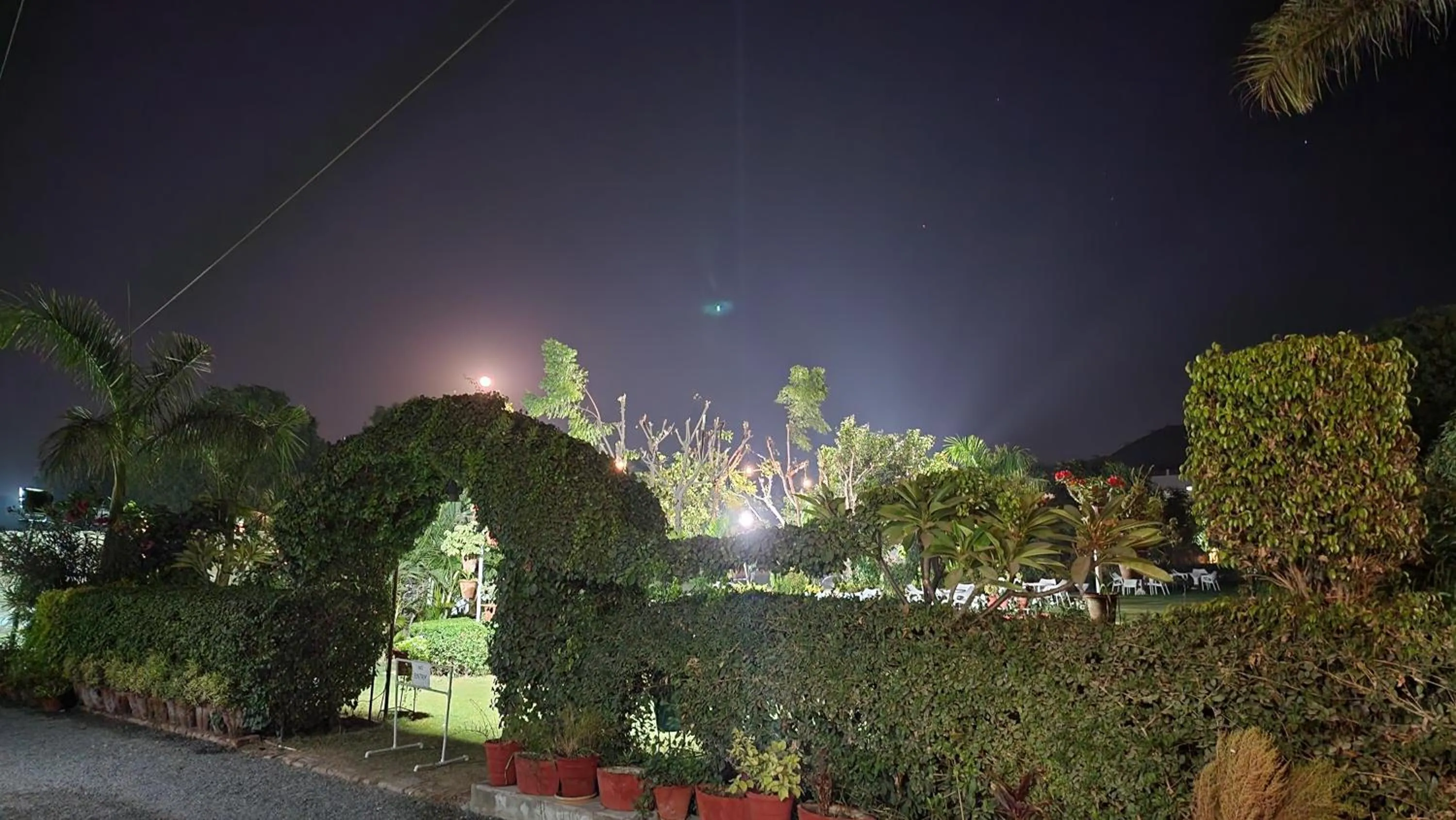 Night in Green Club Farm