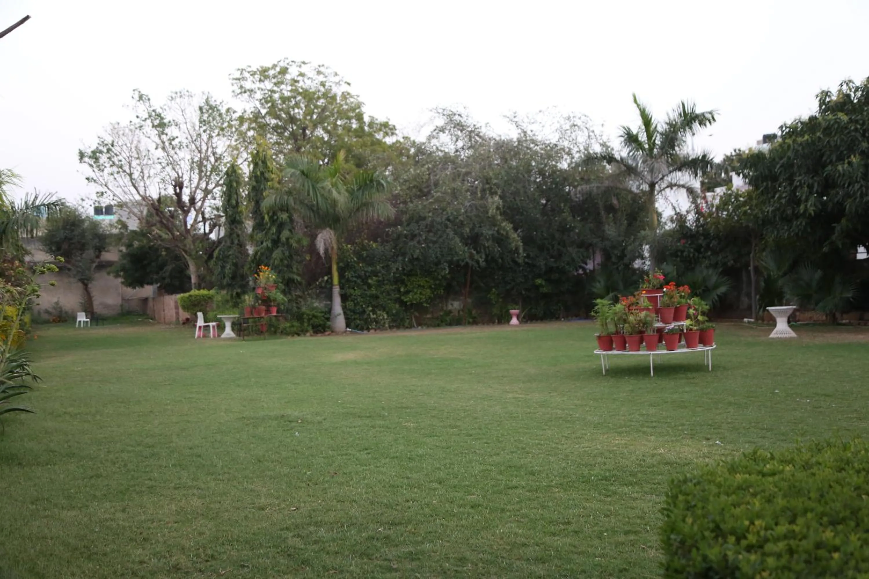 Garden in Green Club Farm