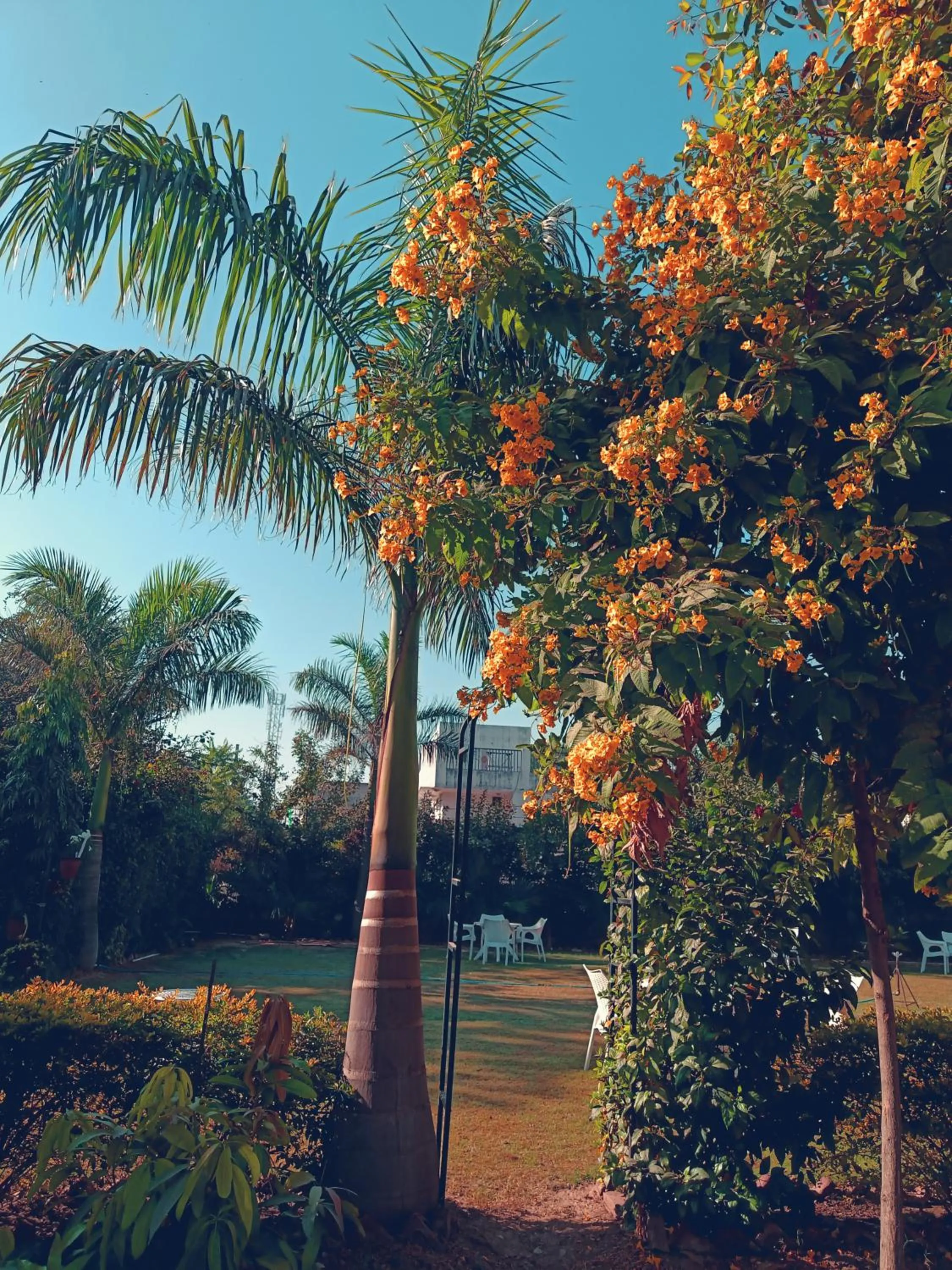 Garden in Green Club Farm