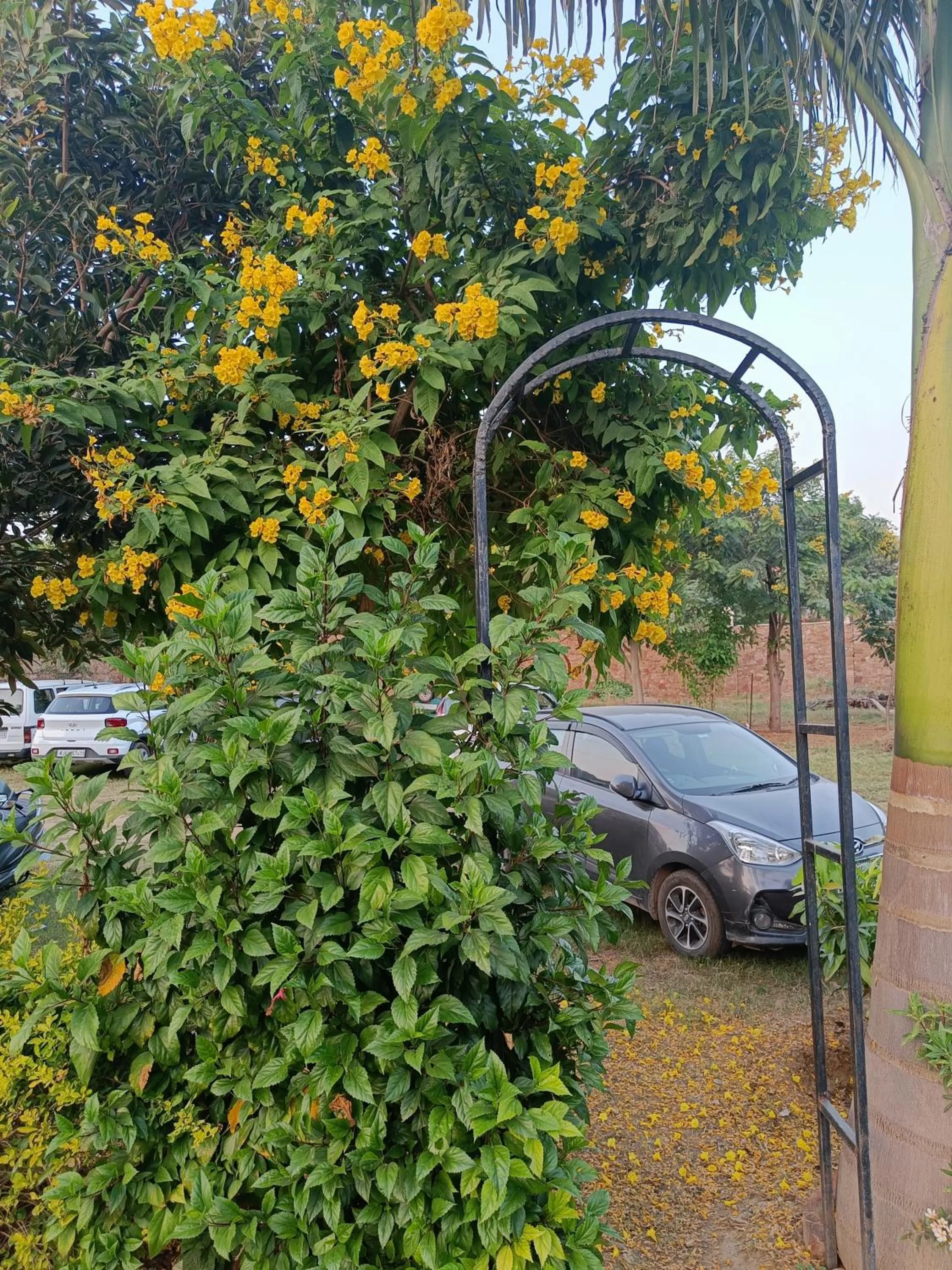 Garden view in Green Club Farm