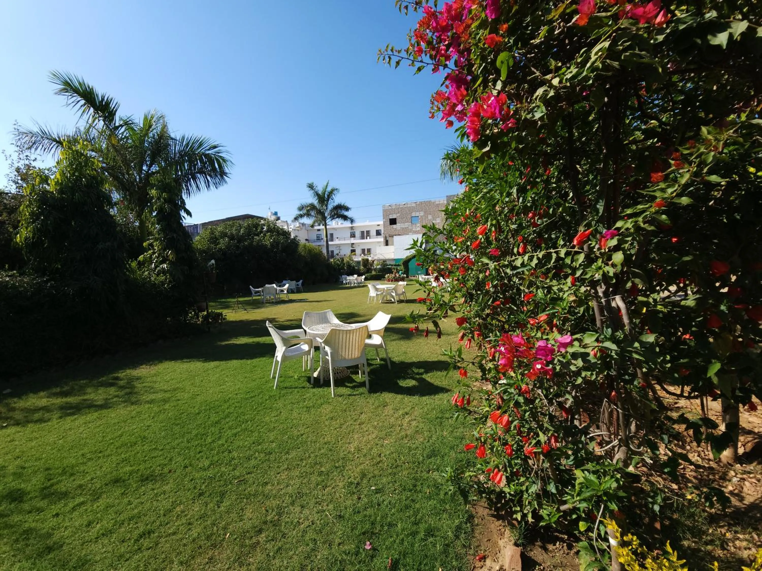 Garden in Green Club Farm
