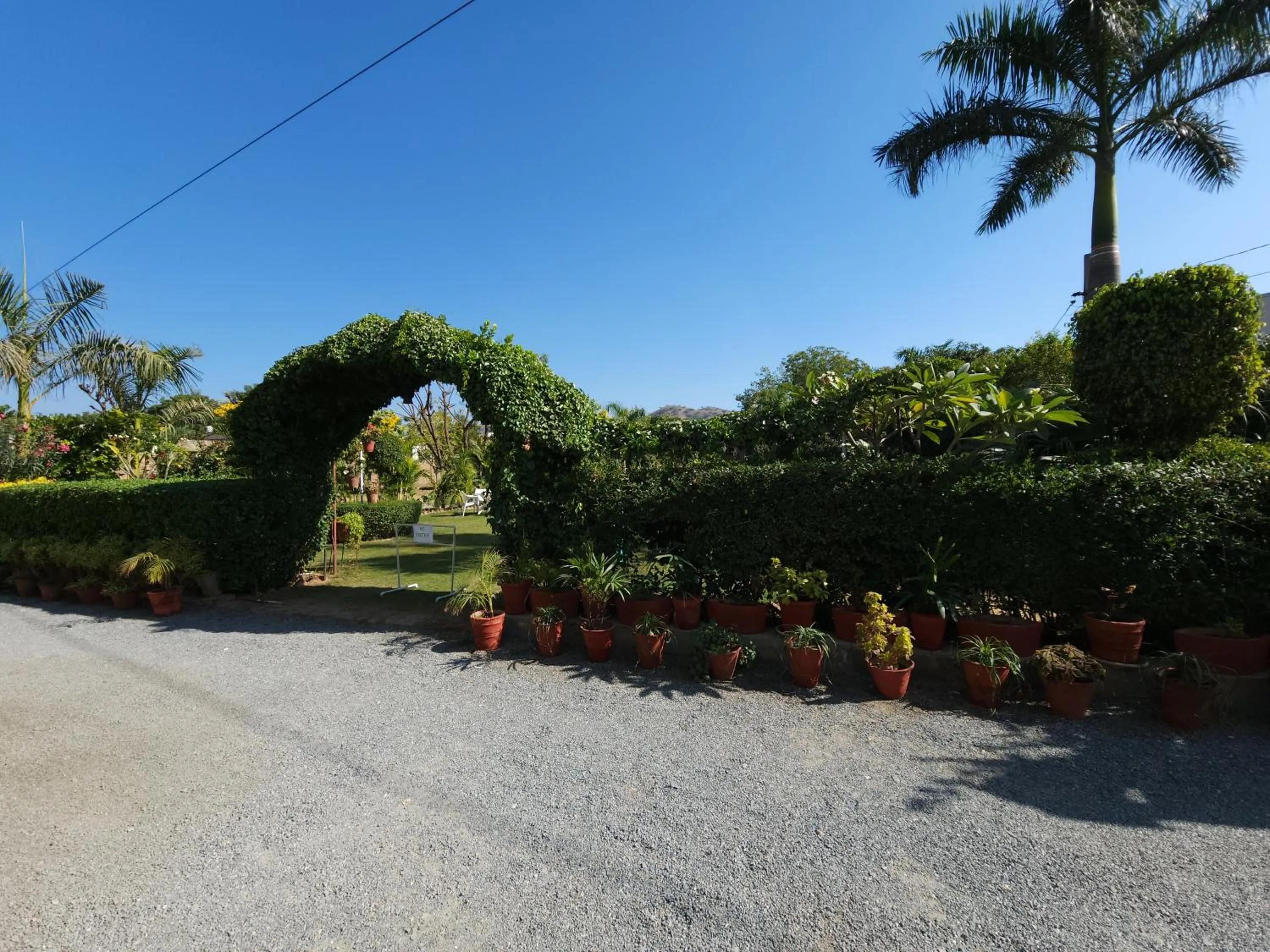 Garden in Green Club Farm